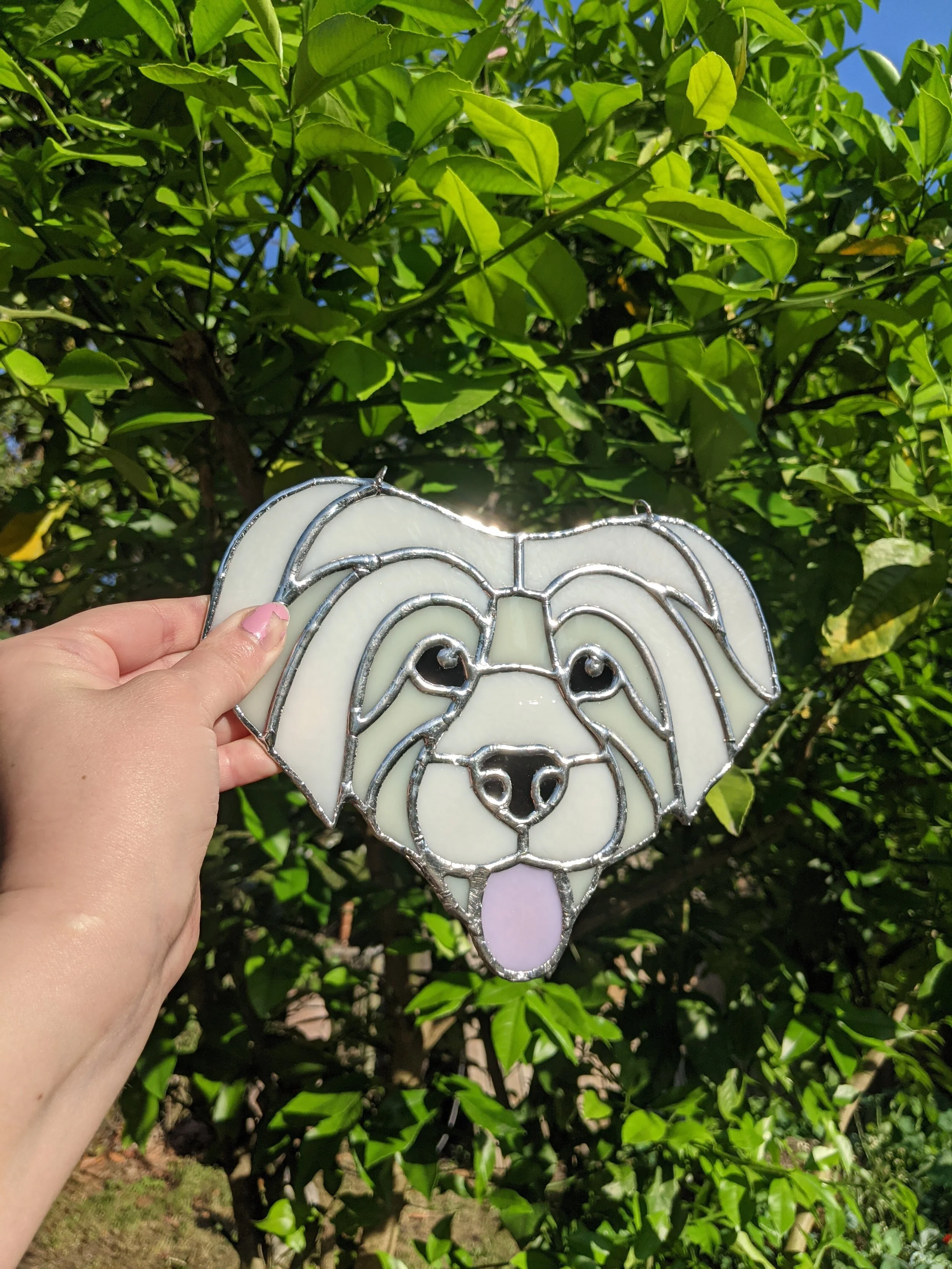 PXL_20210412_214815001_Original 2.jpg