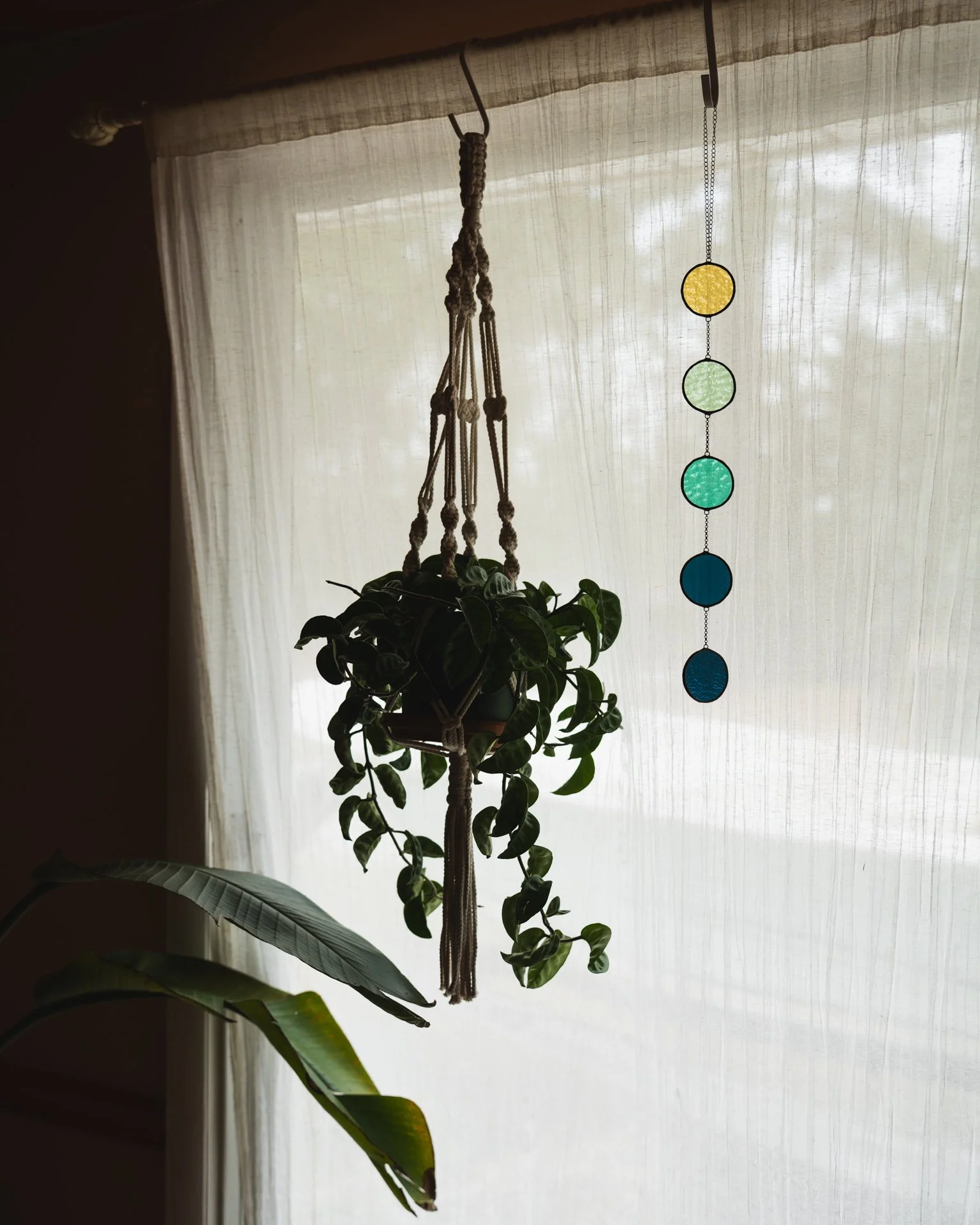 2026 Dayglow Glass - Bubbles-6.jpg