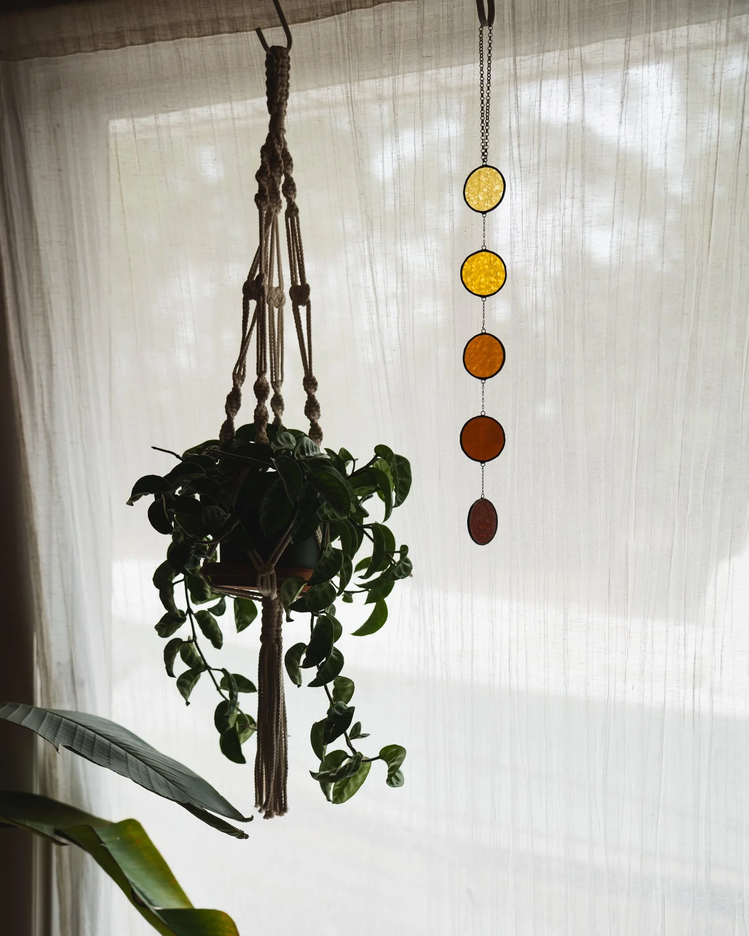 2026 Dayglow Glass - Bubbles-3.jpg