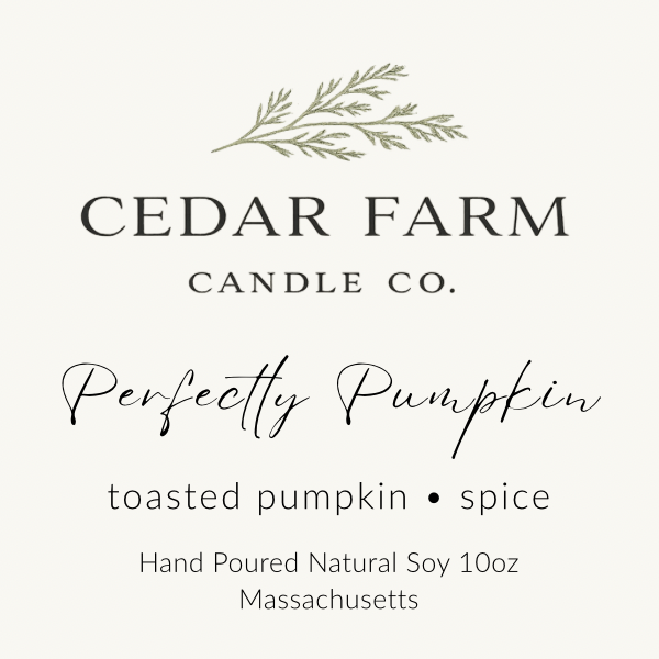 Perfectly Pumpkin - Toasted Pumpkin + Spice