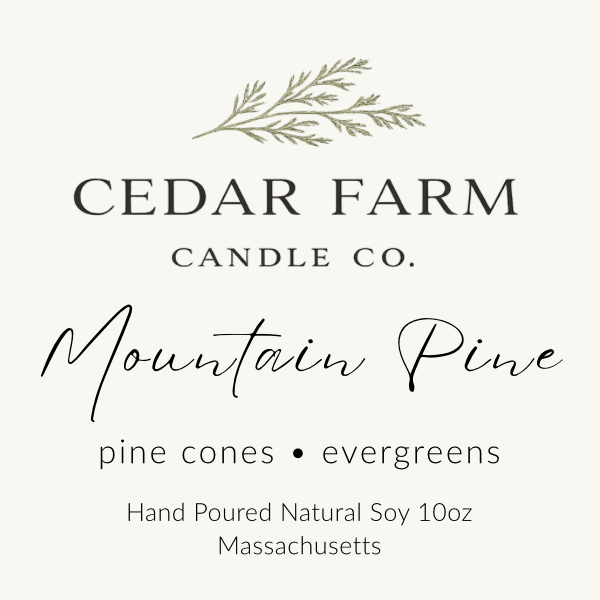 Mountain Pine - Pine Cones + Evergreens