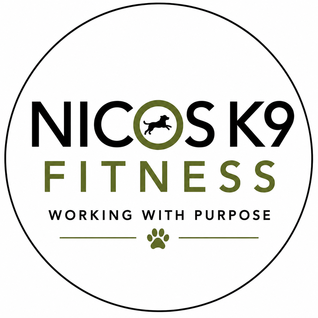 nicosk9fitness.com
