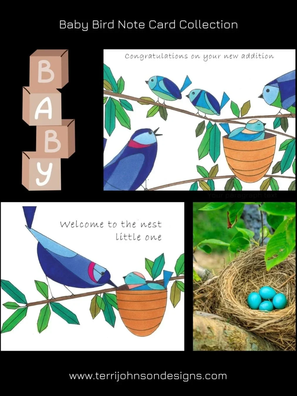Baby%2BBird%2BCollection.jpg
