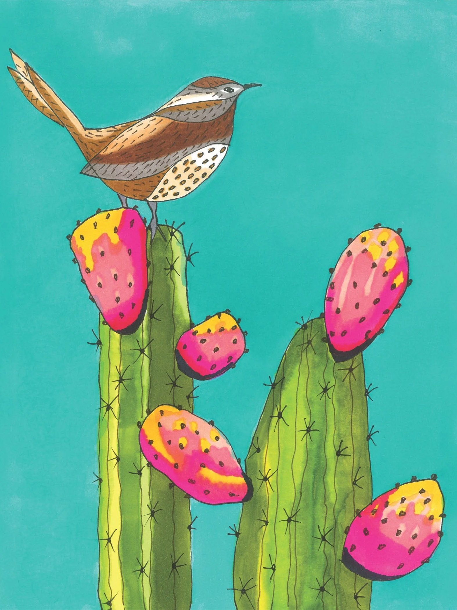 Cactus+Wren.jpg