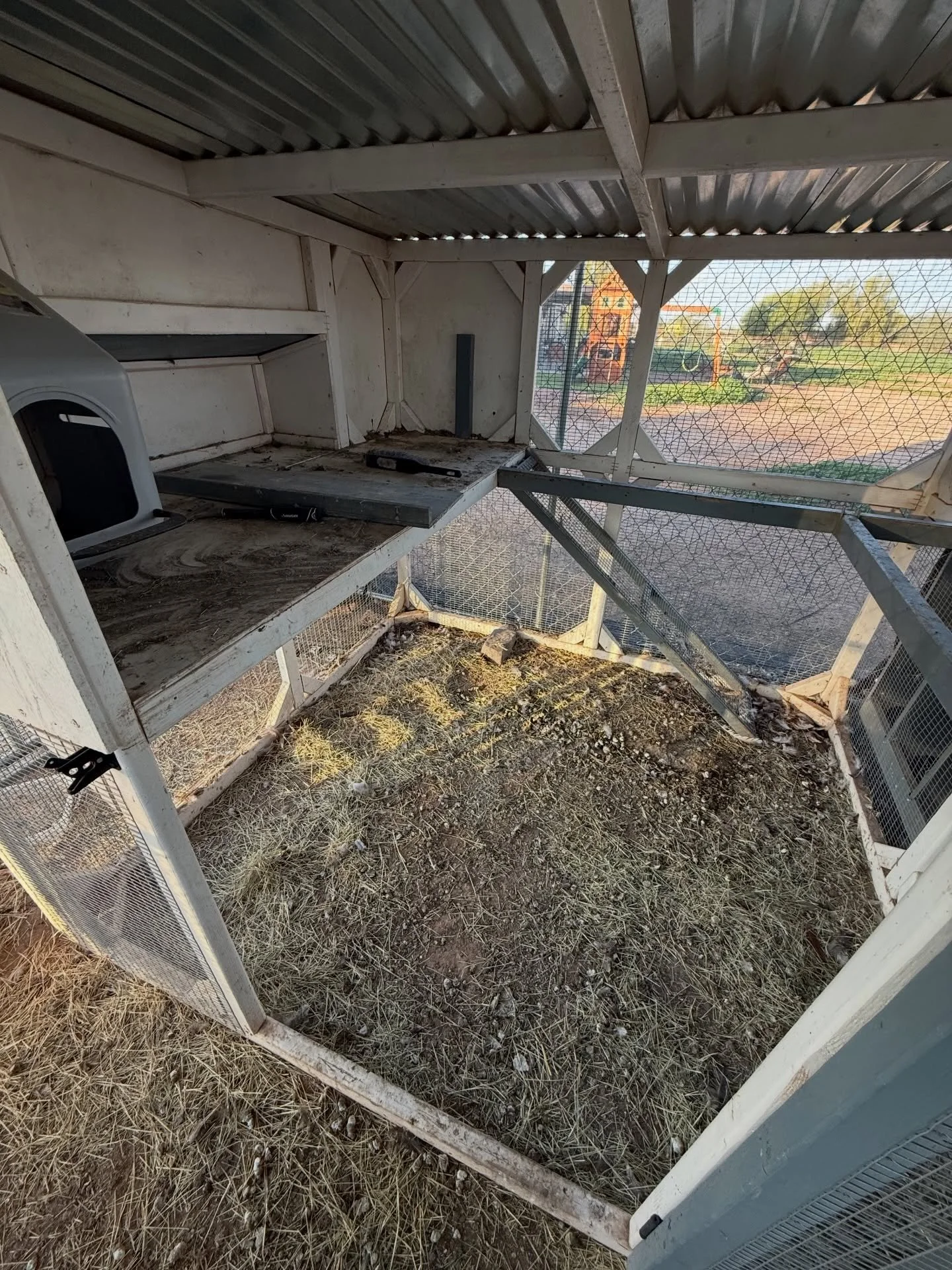 Getting behind on your coop cleanings? Message us about getting on the schedule and never worry about it again!