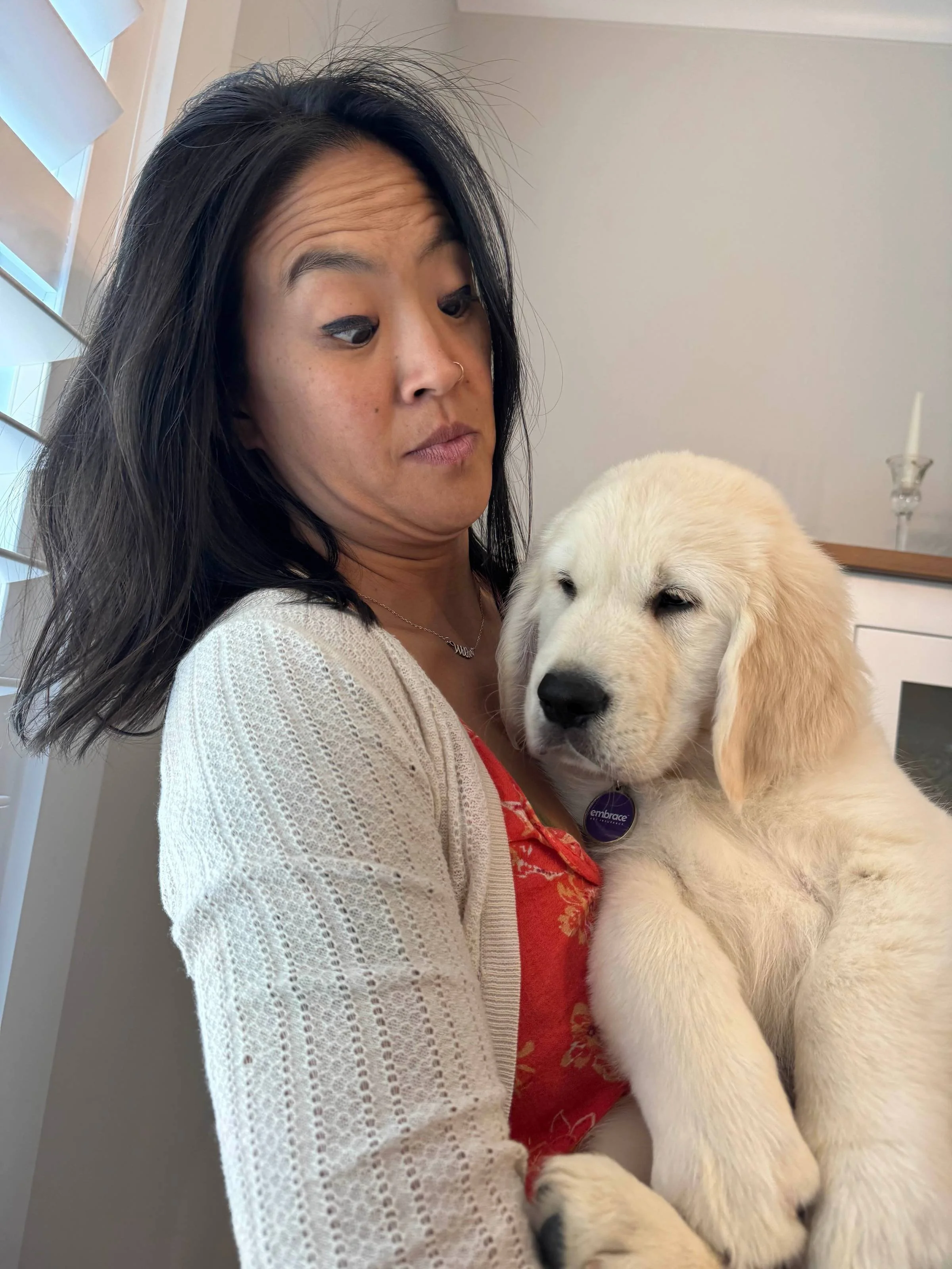 "I have dog fur all over my laptop."