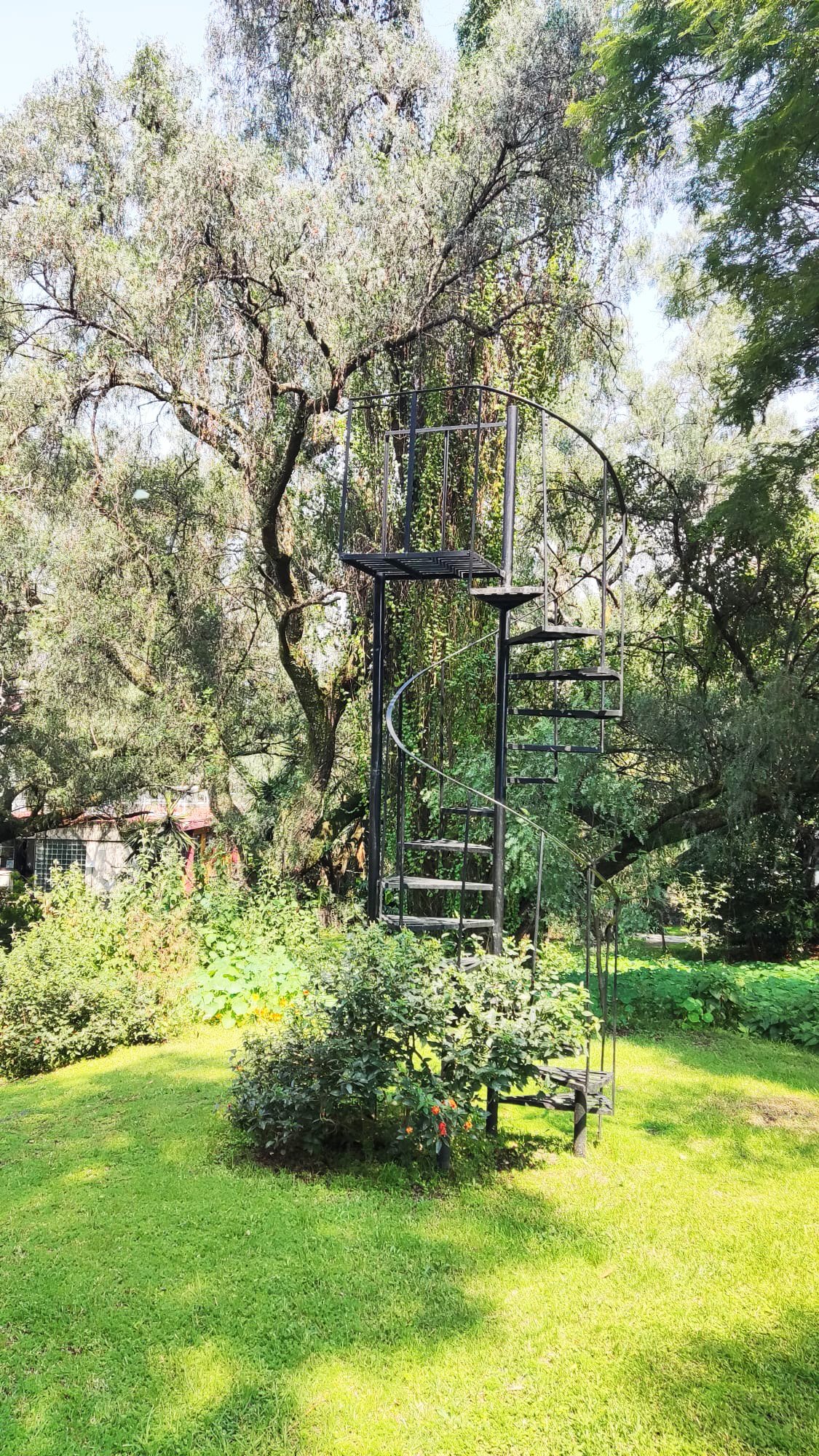 espacio residencia 8.jpg