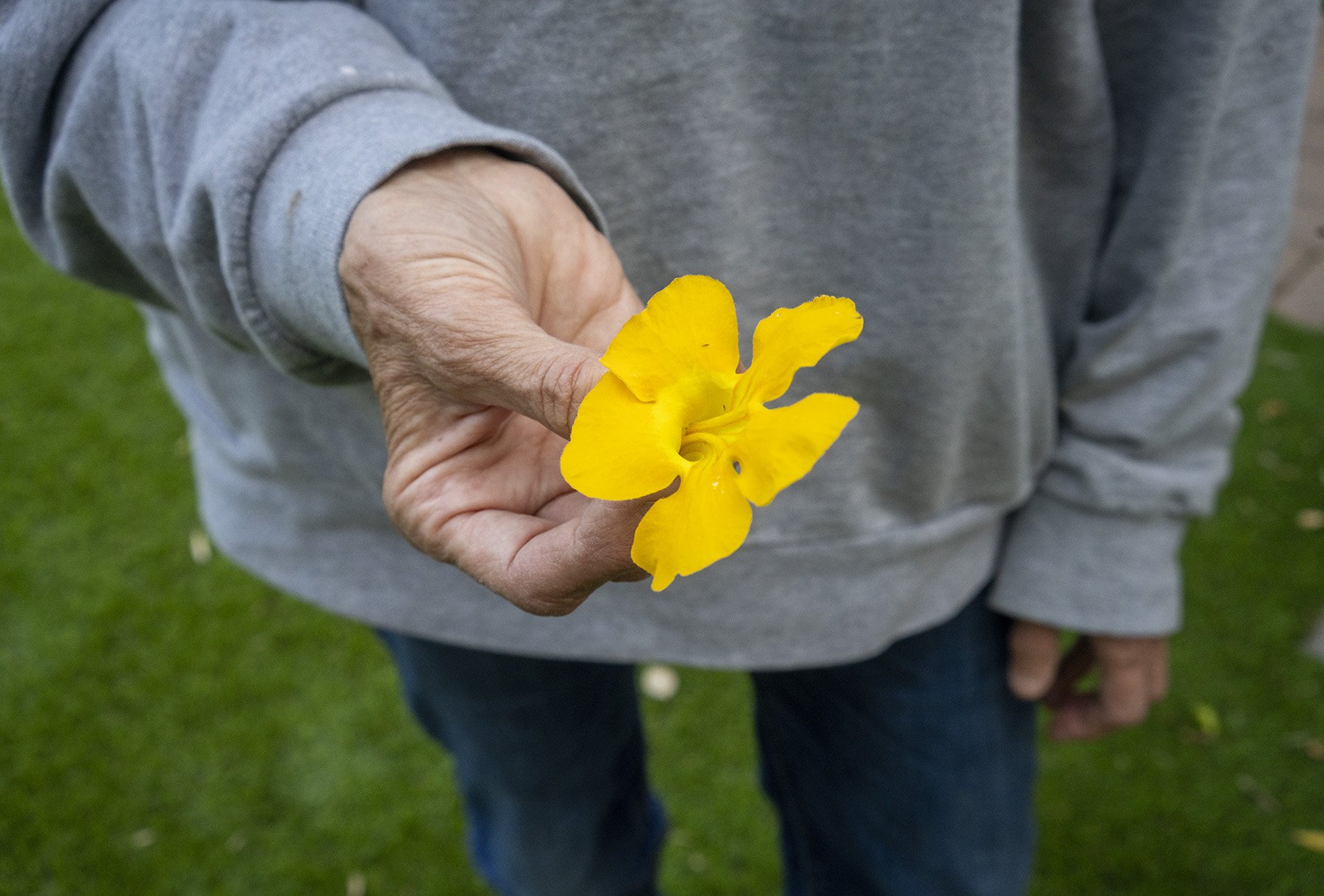 Connie holding flower close up_DSC6657 copy.jpg