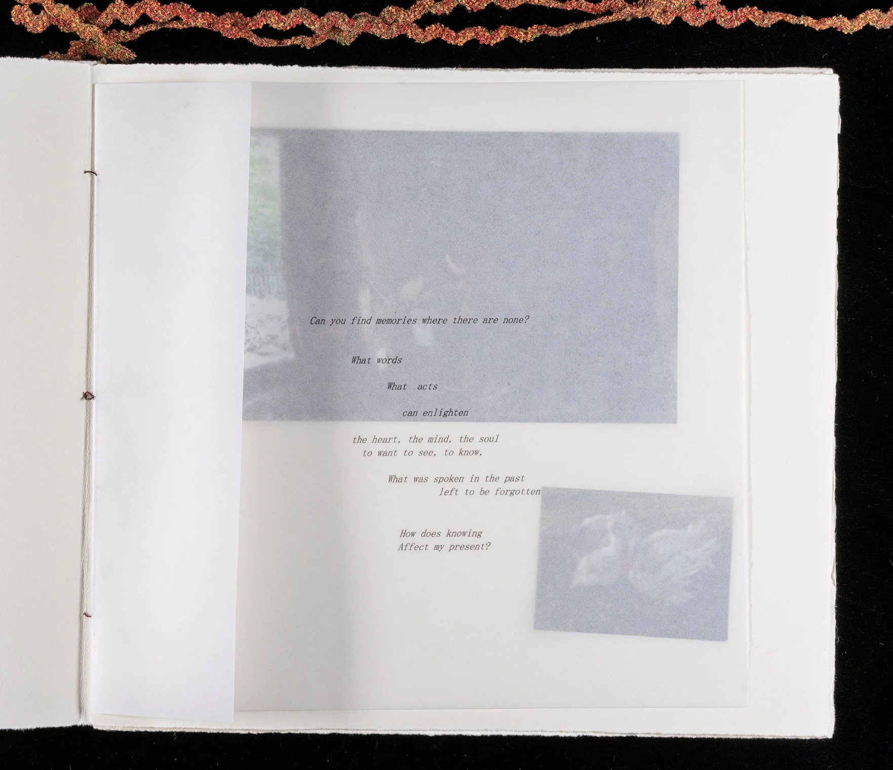 R Poem find memories_DSC8116 copy.jpg
