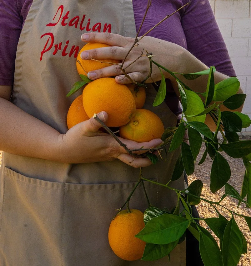 Gina posing with oranges by tree website_DSC7467 copy.jpg