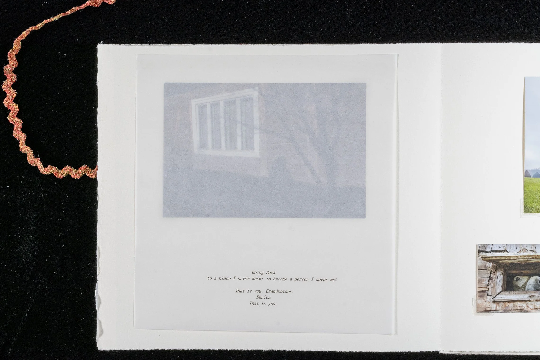 R 1st pic covered poem_DSC8111 copy.jpg