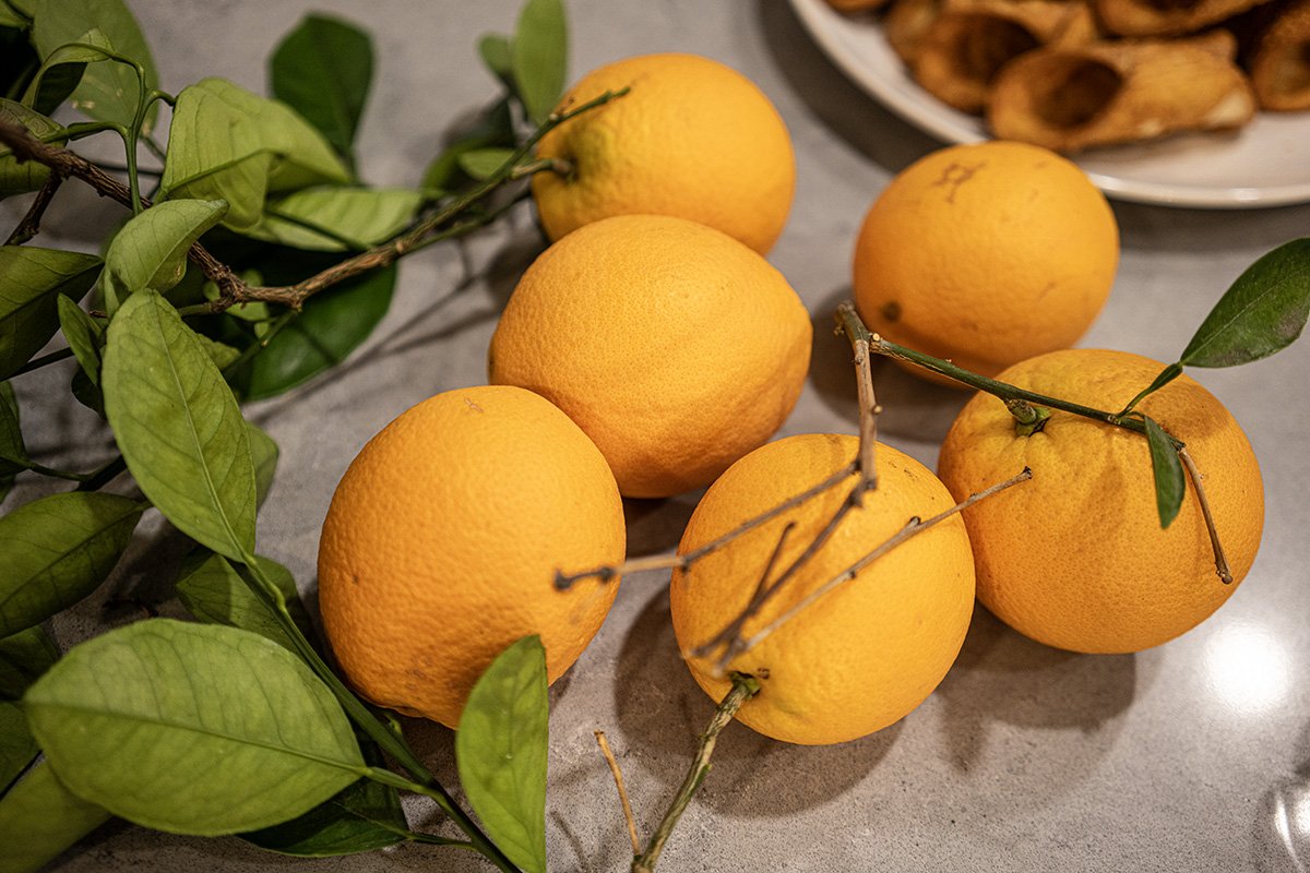 Oranges up close_DSC7550 copy.jpg