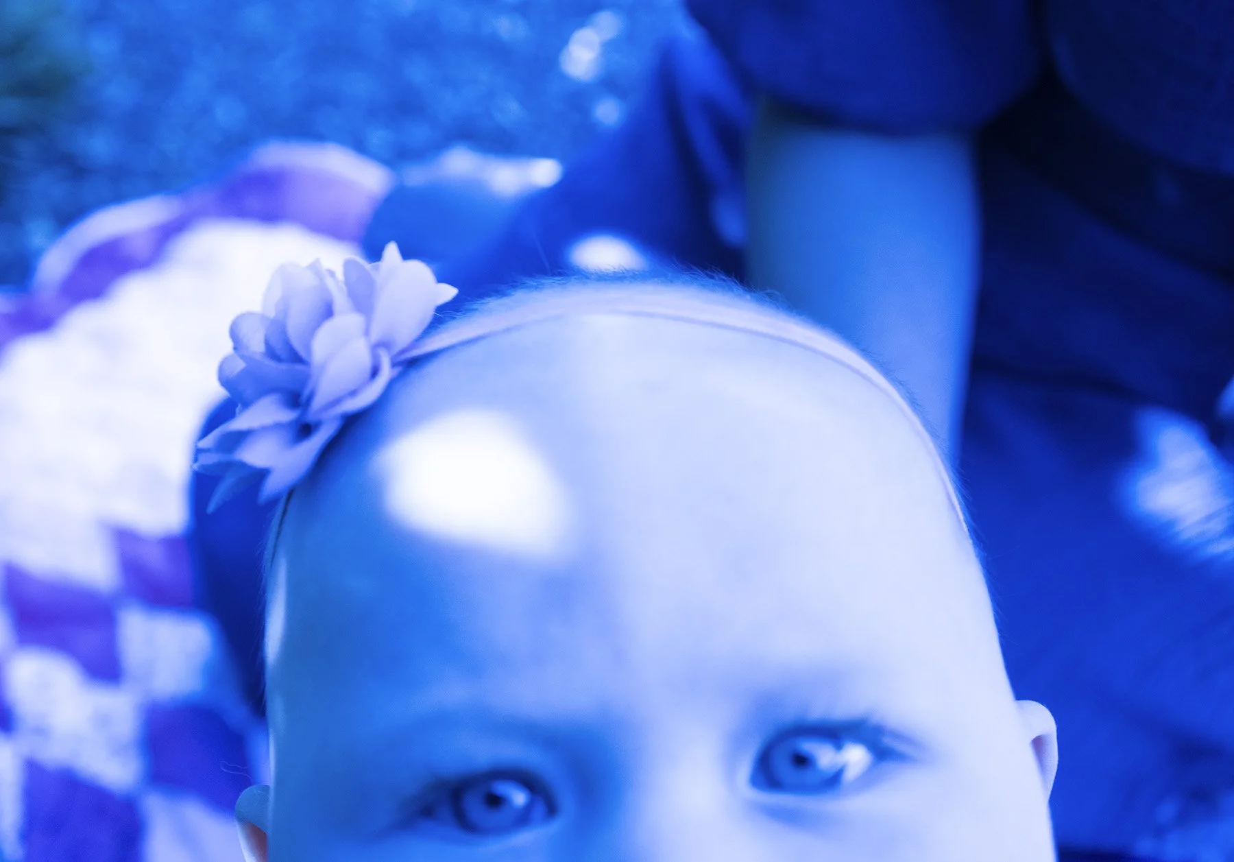 Big BLUE Eyes_DSC6419 copy.jpg