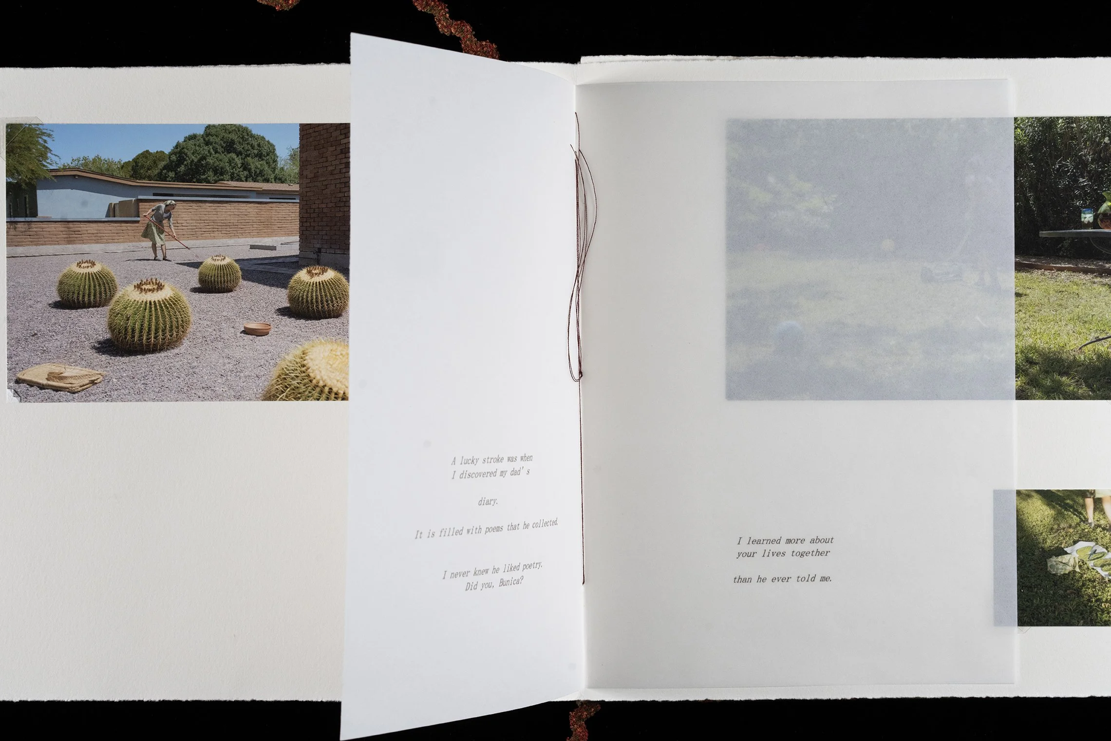 A 2nd pg spread w:poem part covered photo_DSC8138 copy.jpg
