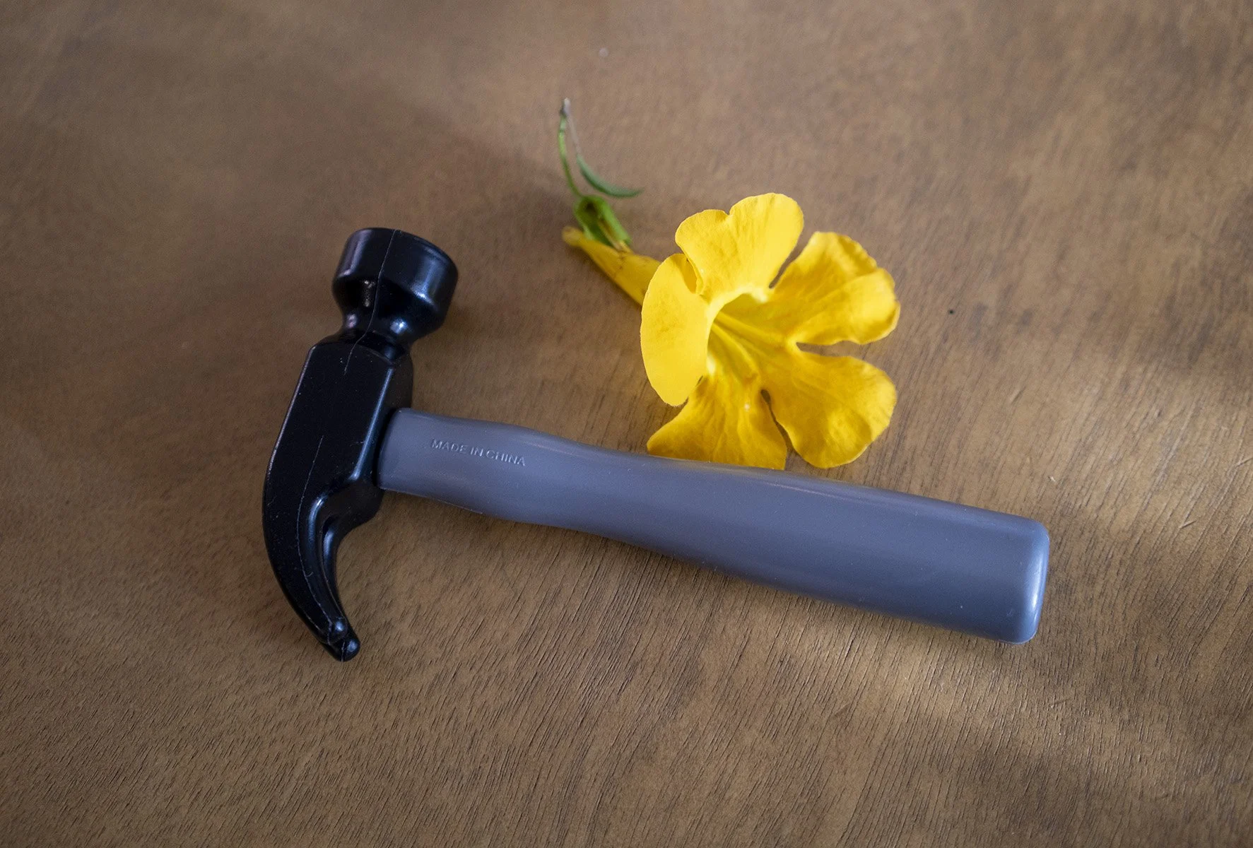 Toy hammer and flower_DSC6707 copy.jpg