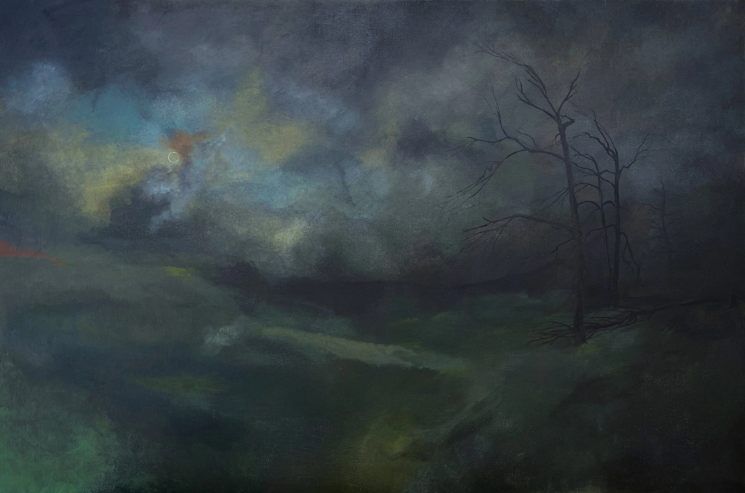 Night in Sydney Park (2025), Helena Emily Wade