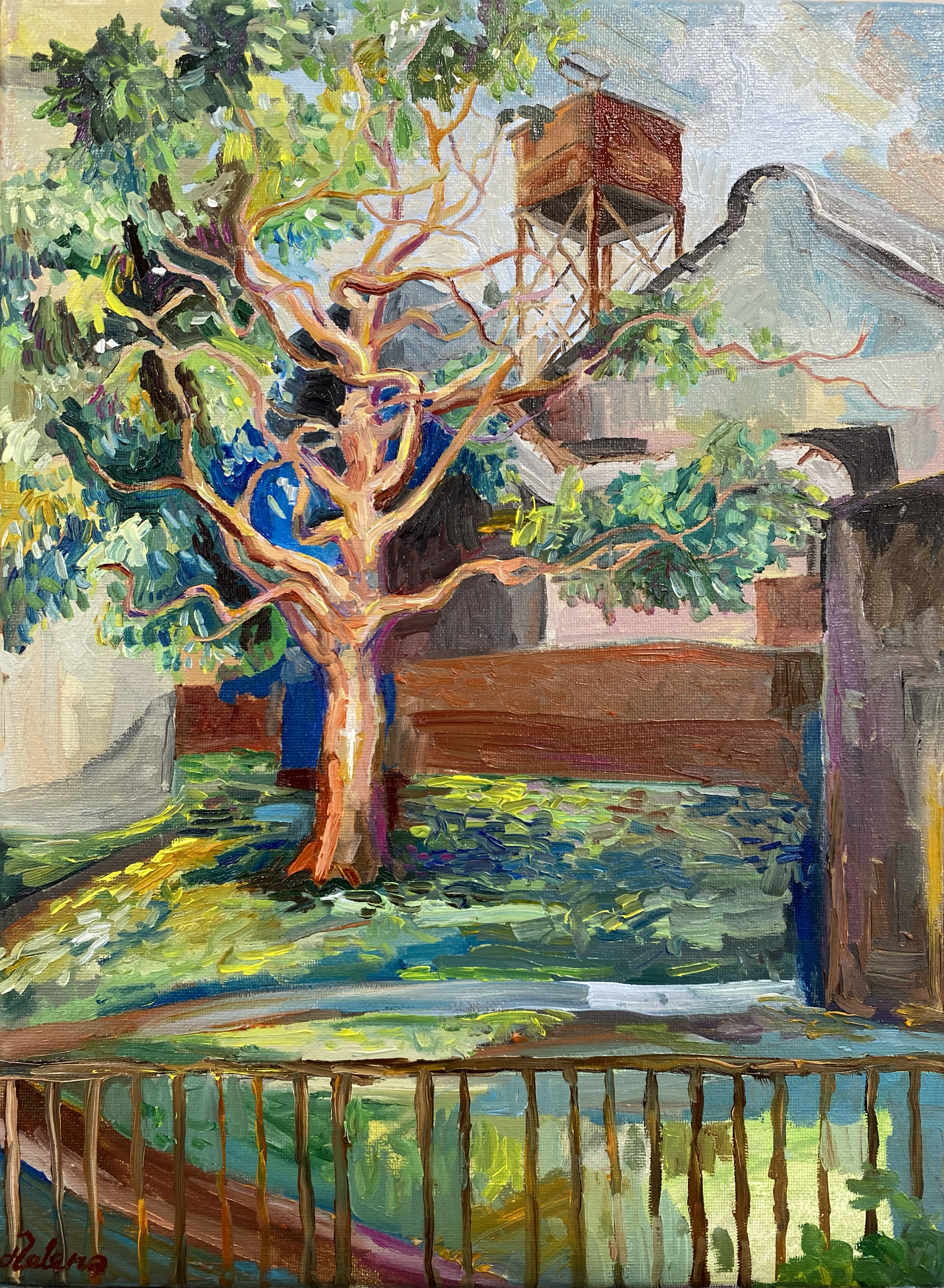Cockatoo Island, (2026), Helena Emily Wade