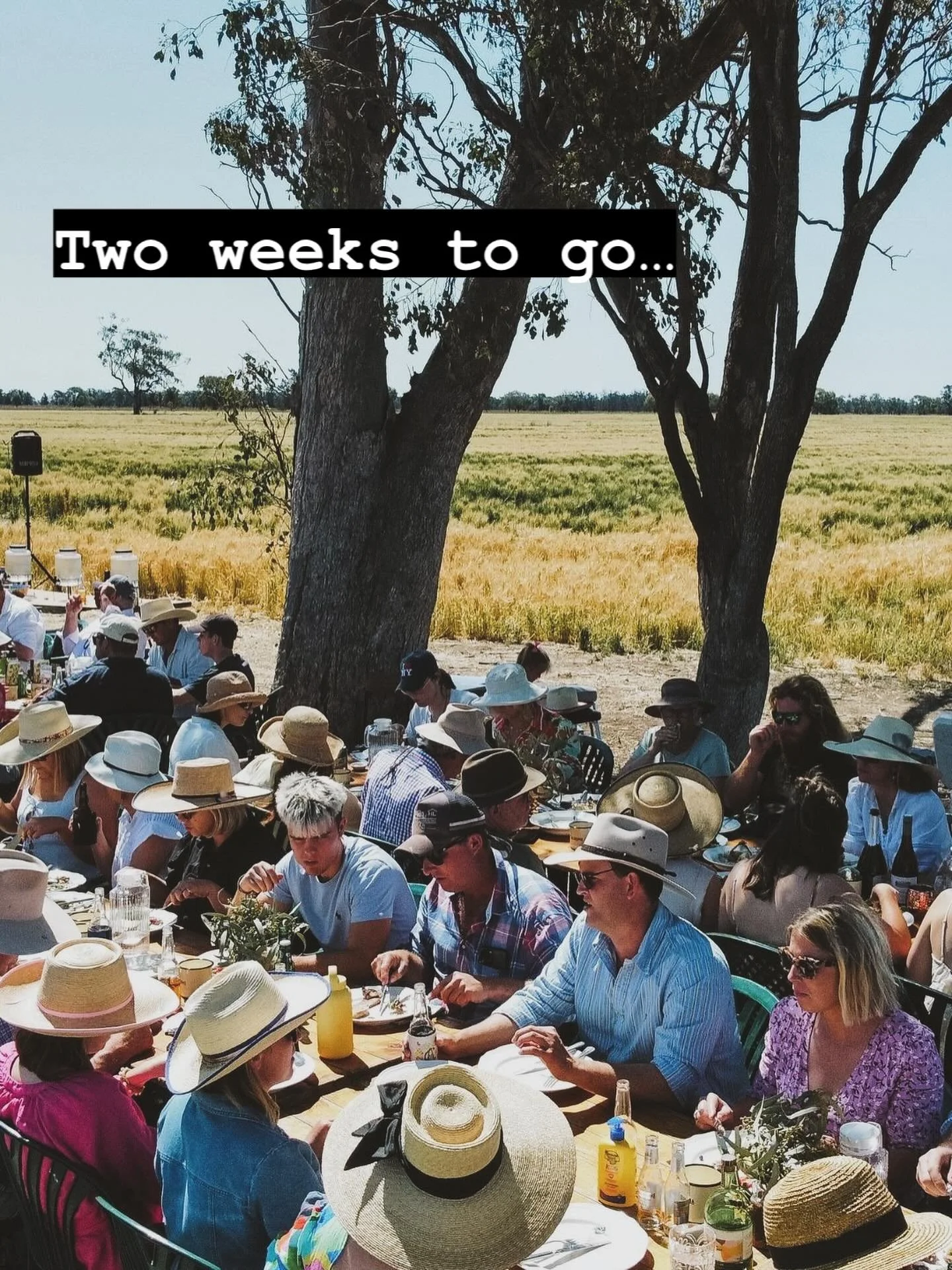 Tickets are limited and close in two days. Don&rsquo;t miss out! Link in bio&hellip;.

##coonamblecancersurvivalfund #paddockpicnic