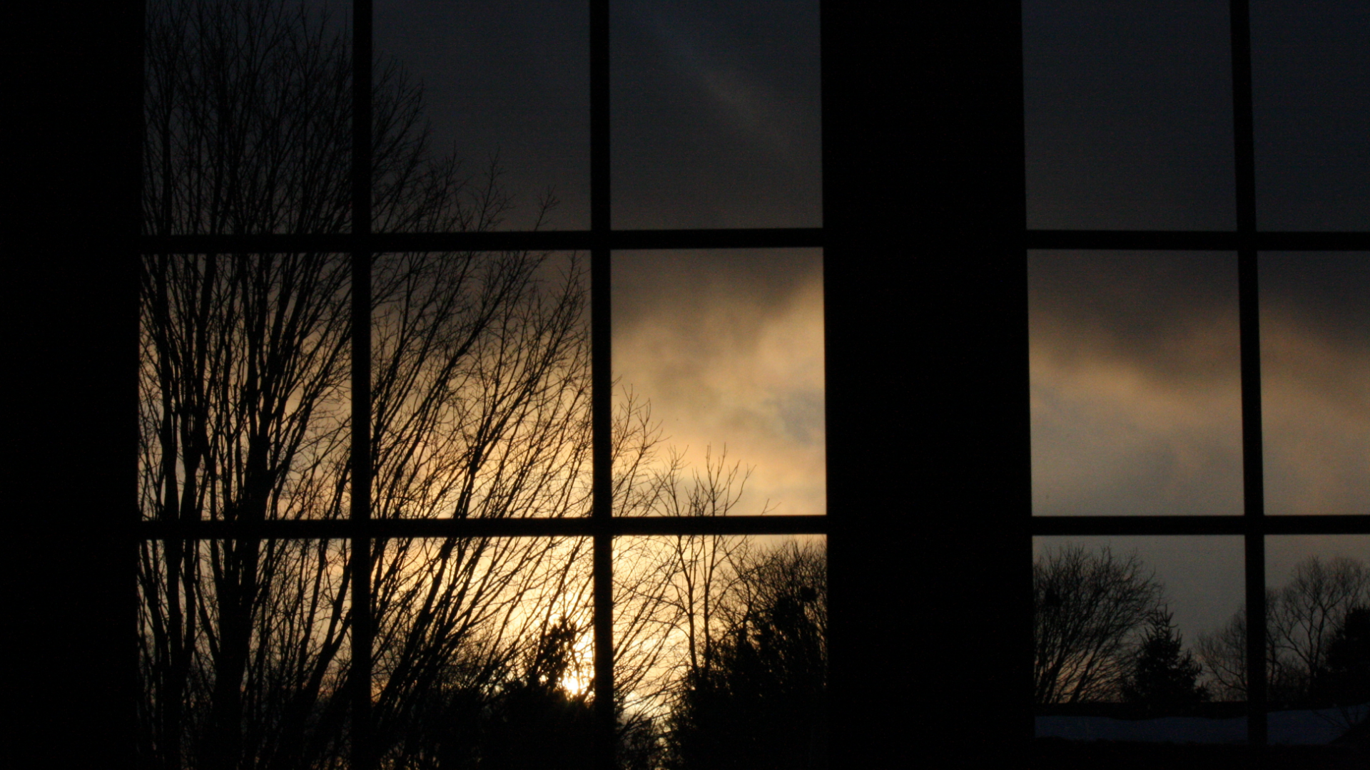 Windows looking out onto twilight. Ominous clouds and the silhouettes of trees loom in the distance.
