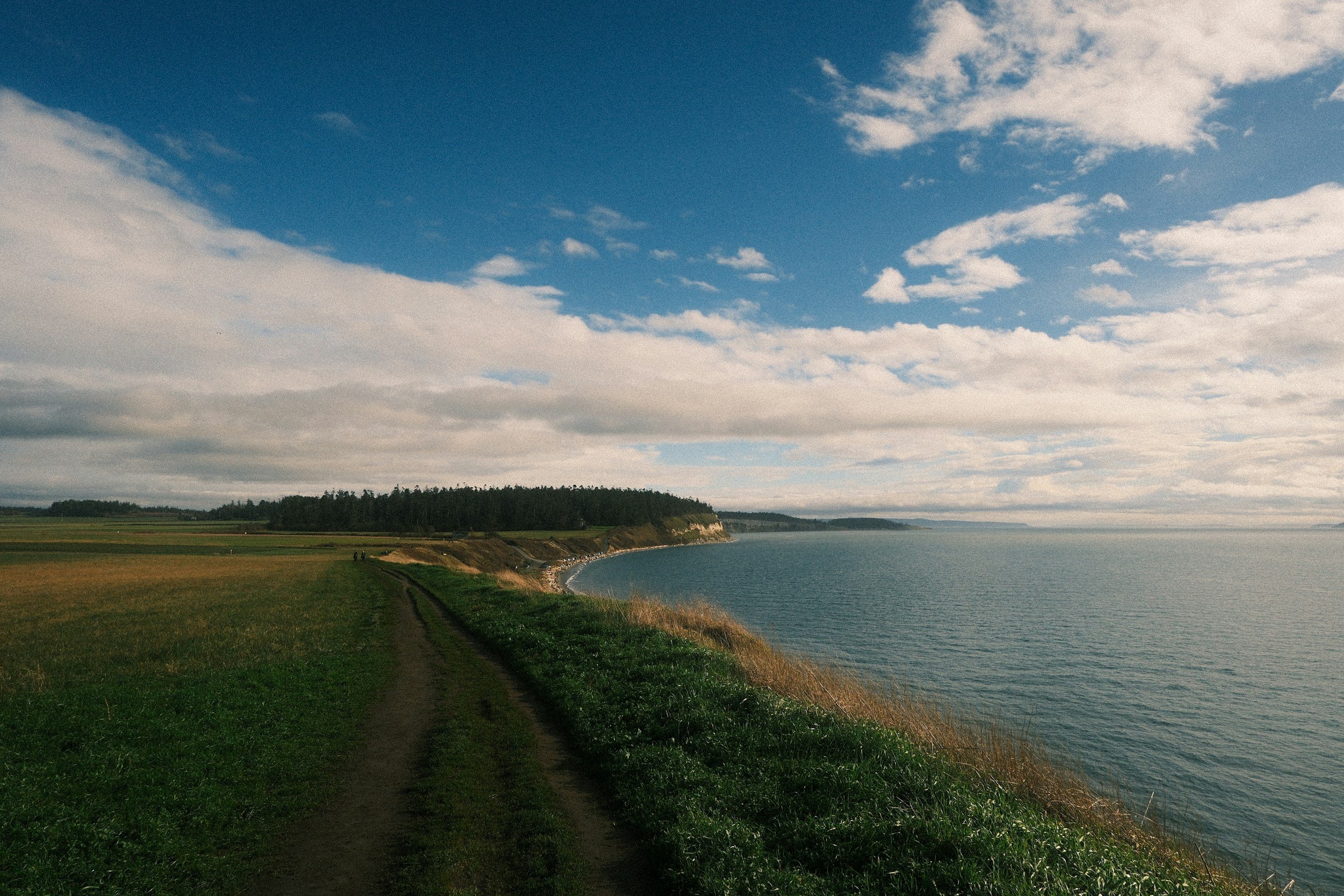 Coastal walking trail beside the ocean