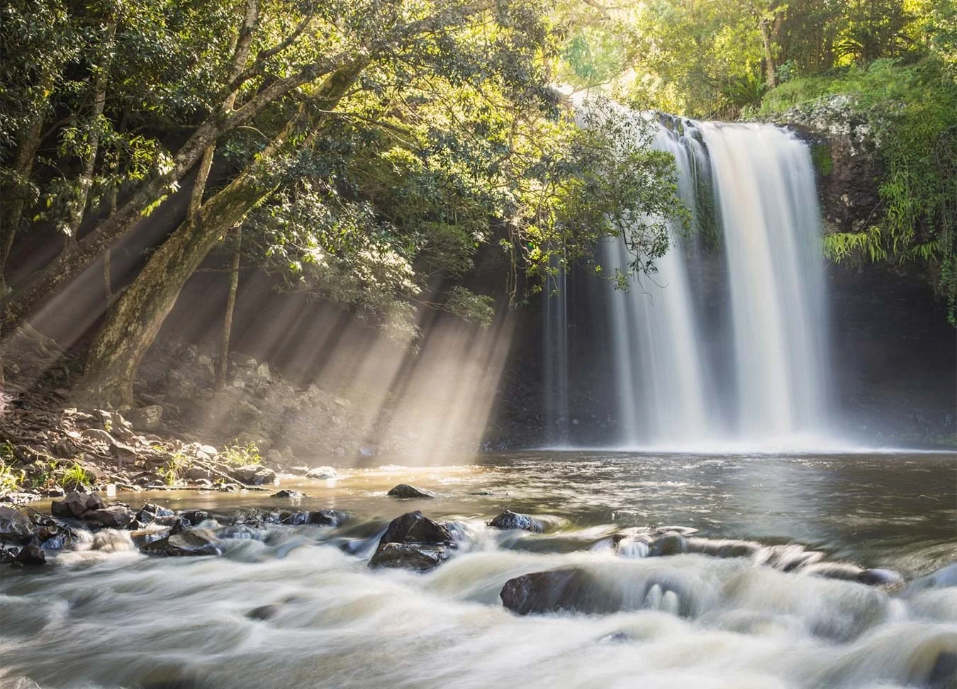 A waterfall flowing into a river surrounded by lush green trees with sunlight streaming through