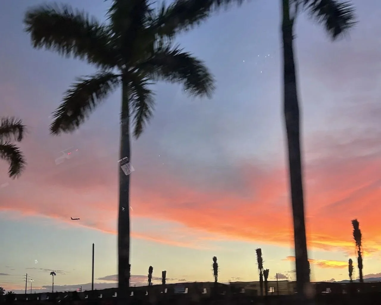 Showing Up Like the Sun