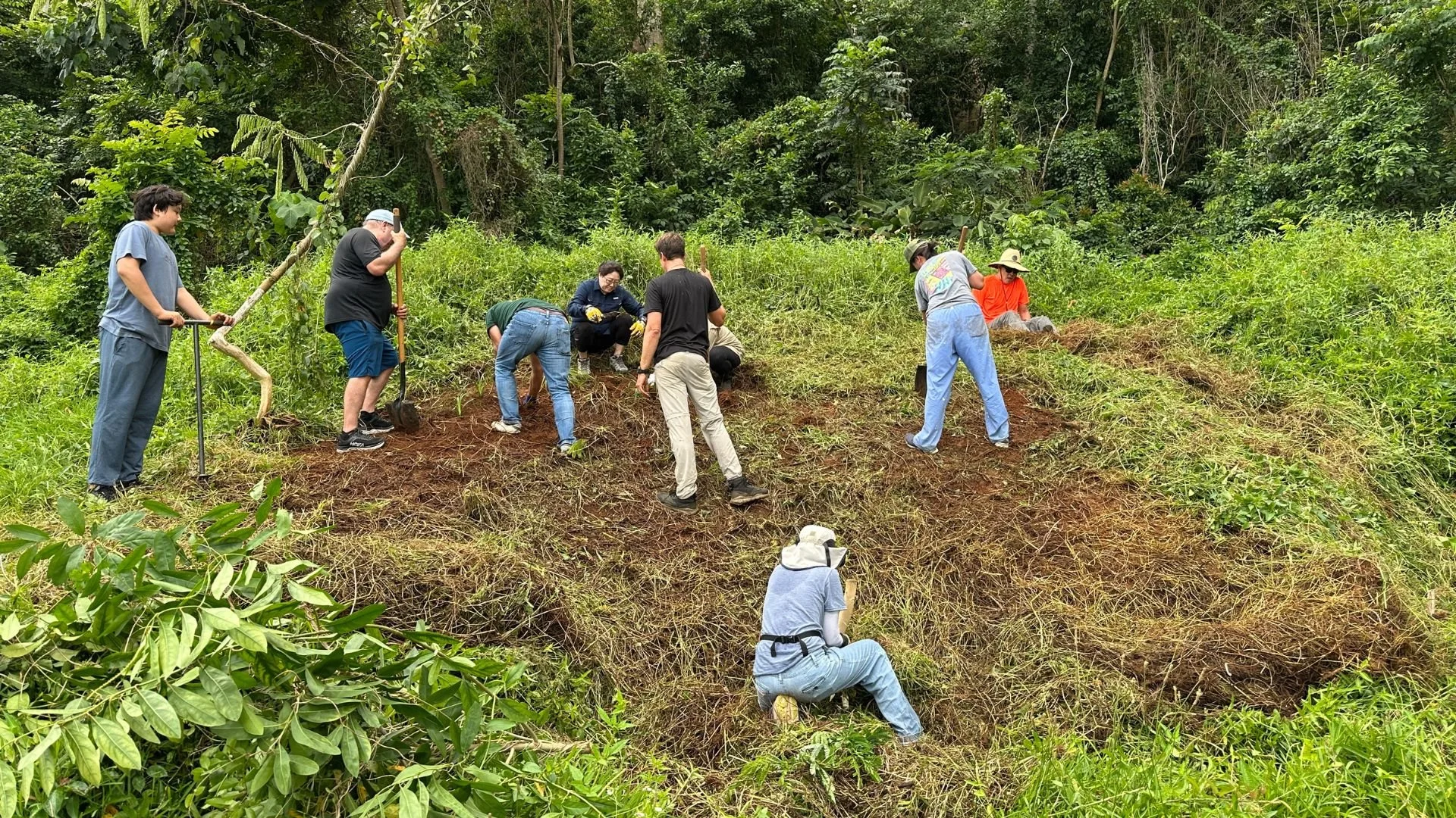 Pilina Restoration Day