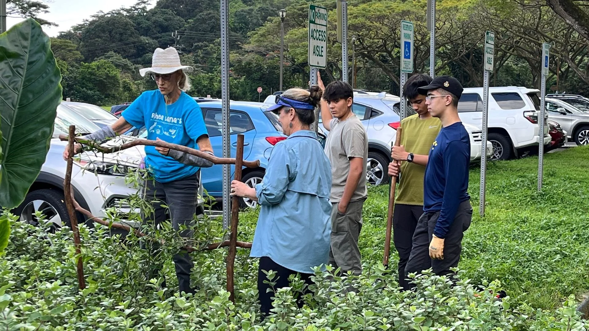 Creation Care Fridays