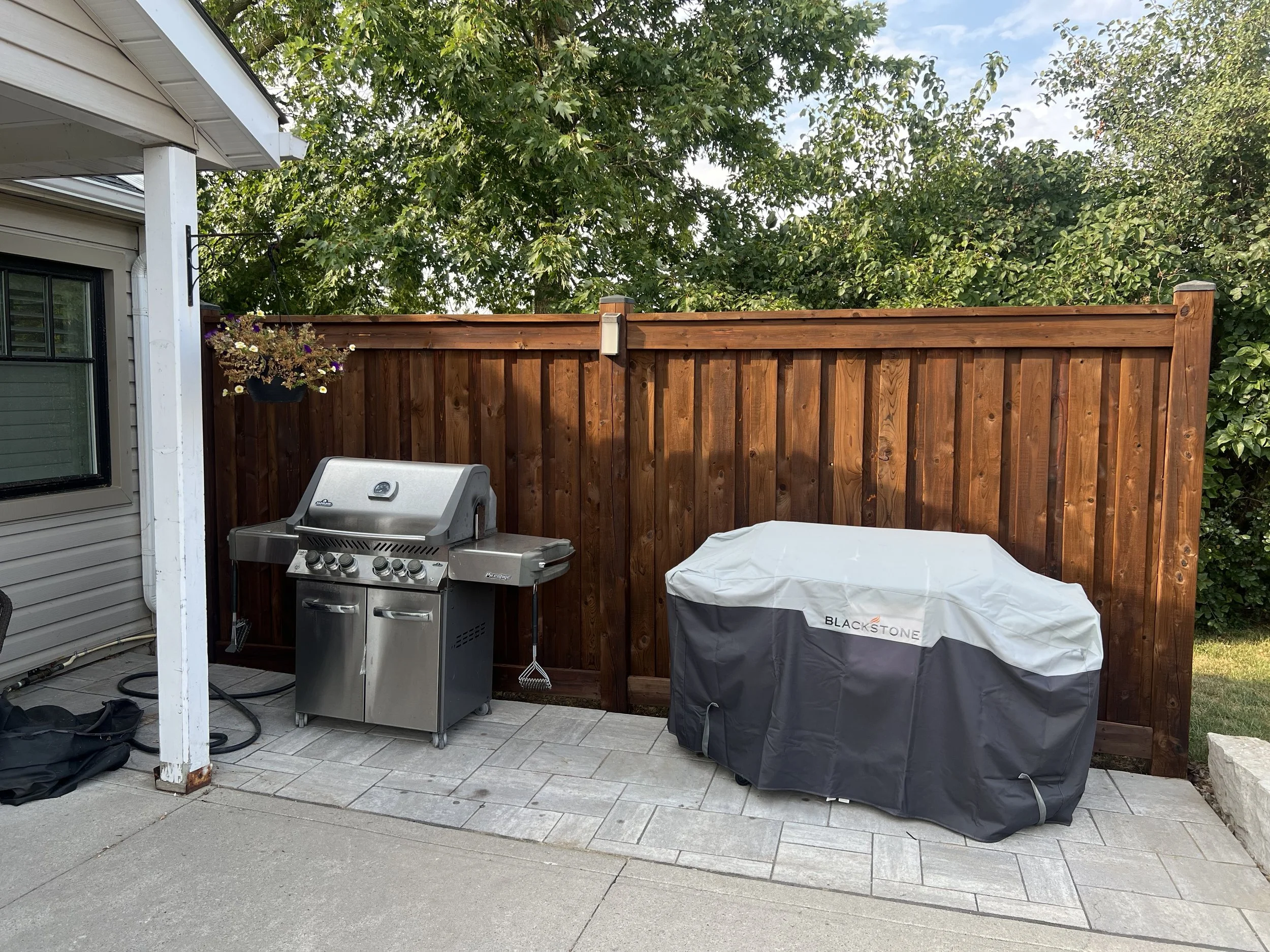 SEXY STAIN FENCE .jpeg
