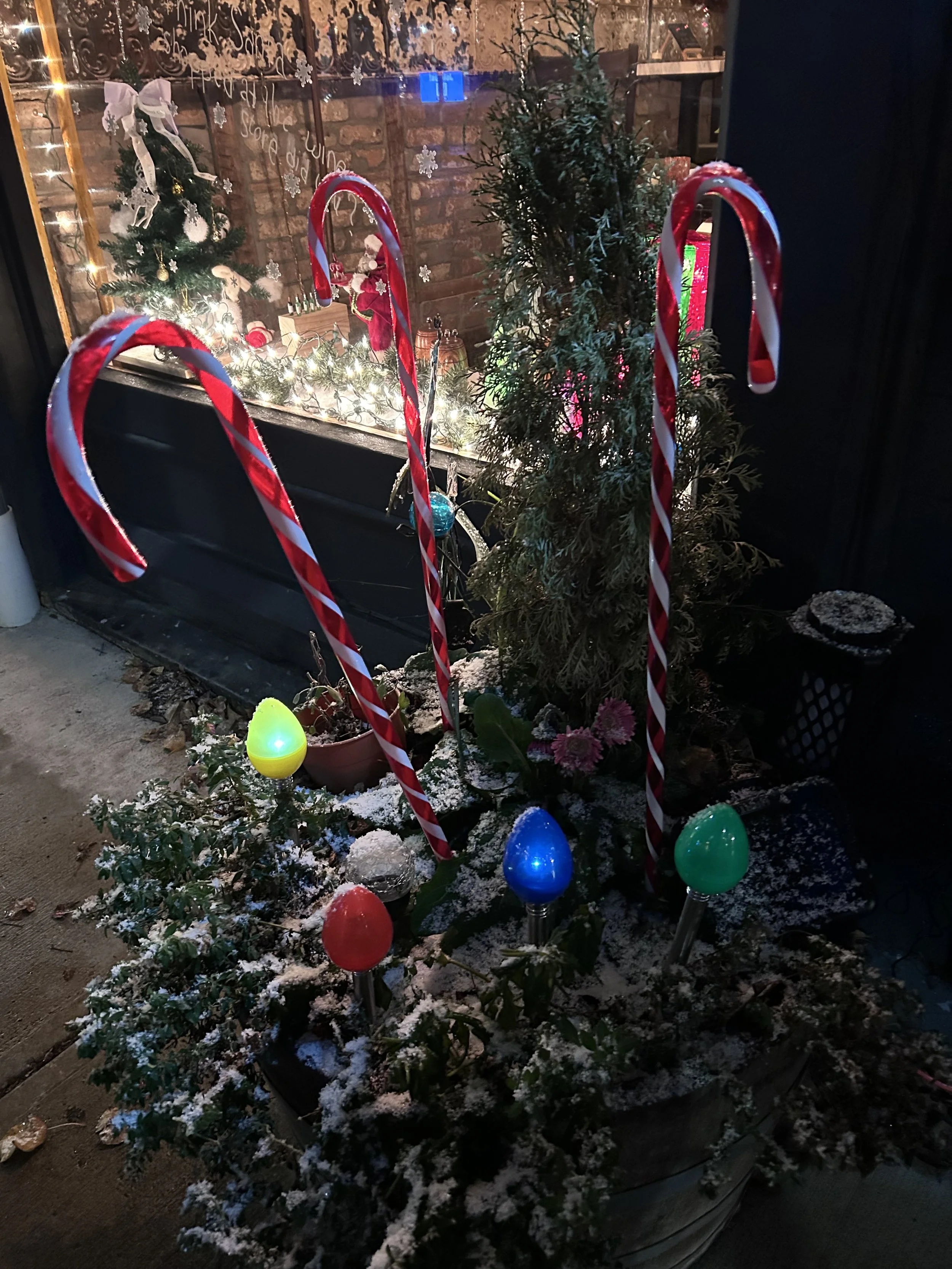 Window display contest