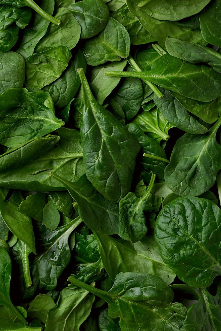 Baby Spinach.jpeg