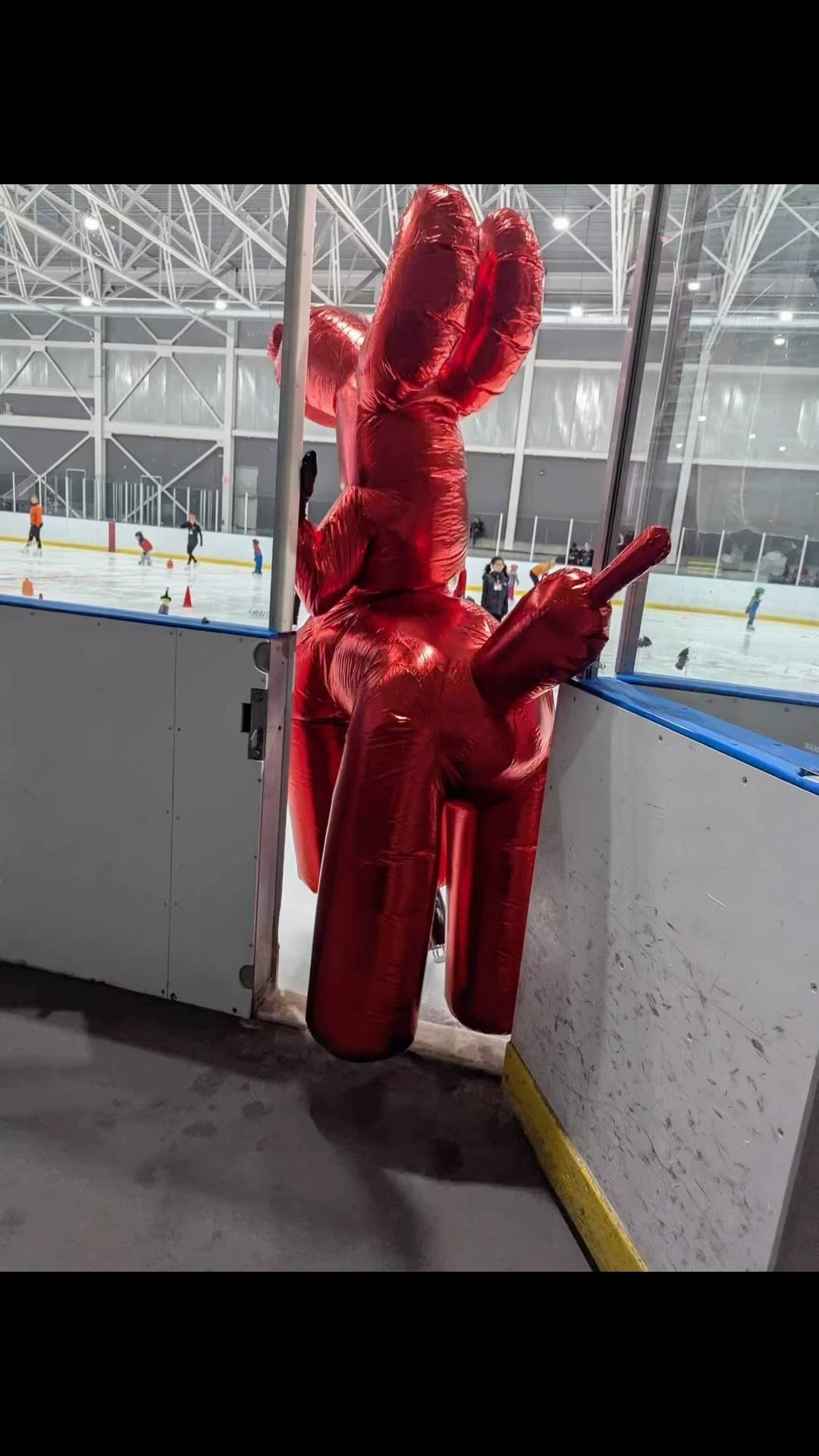 Brant Figure Skating Club