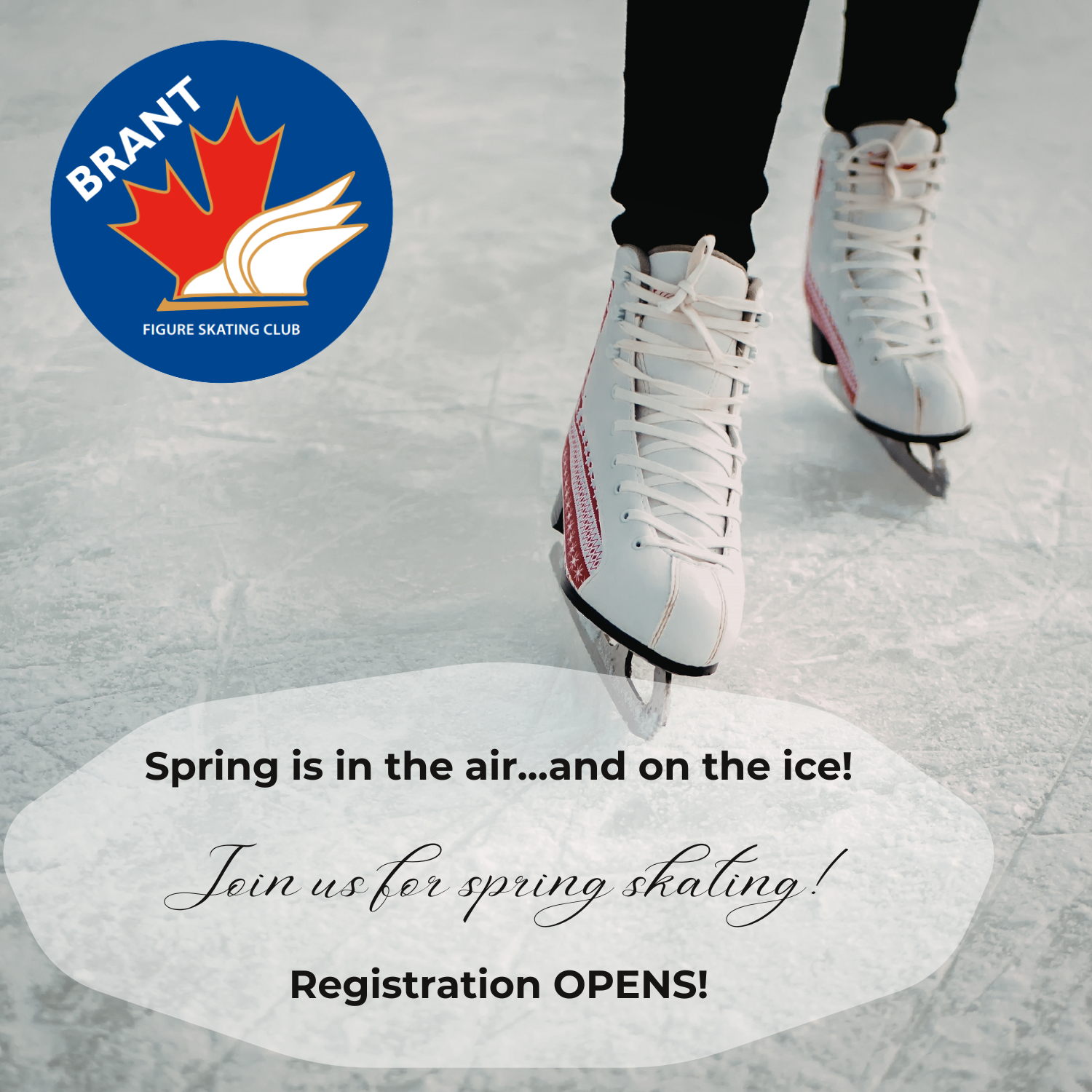 Spring Registration OPENS!