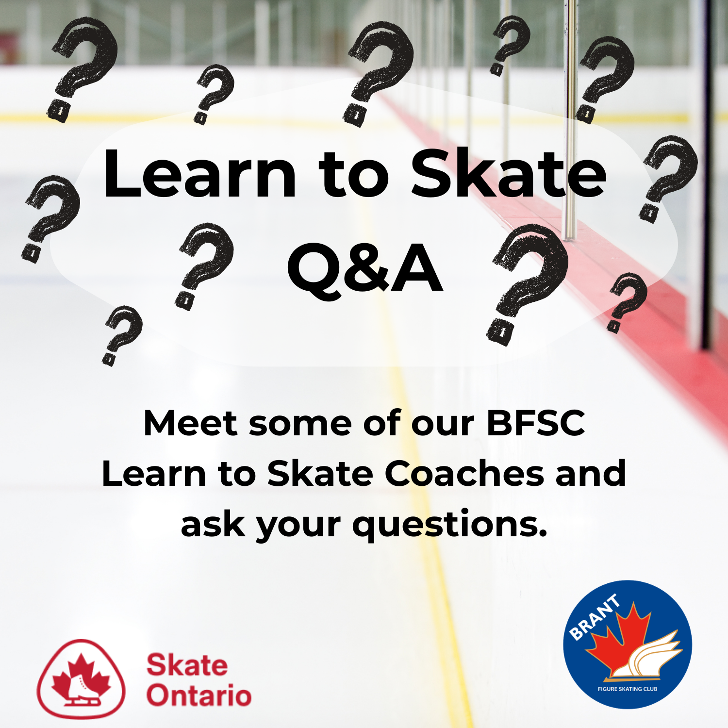 Learn to Skate Coach Q&A