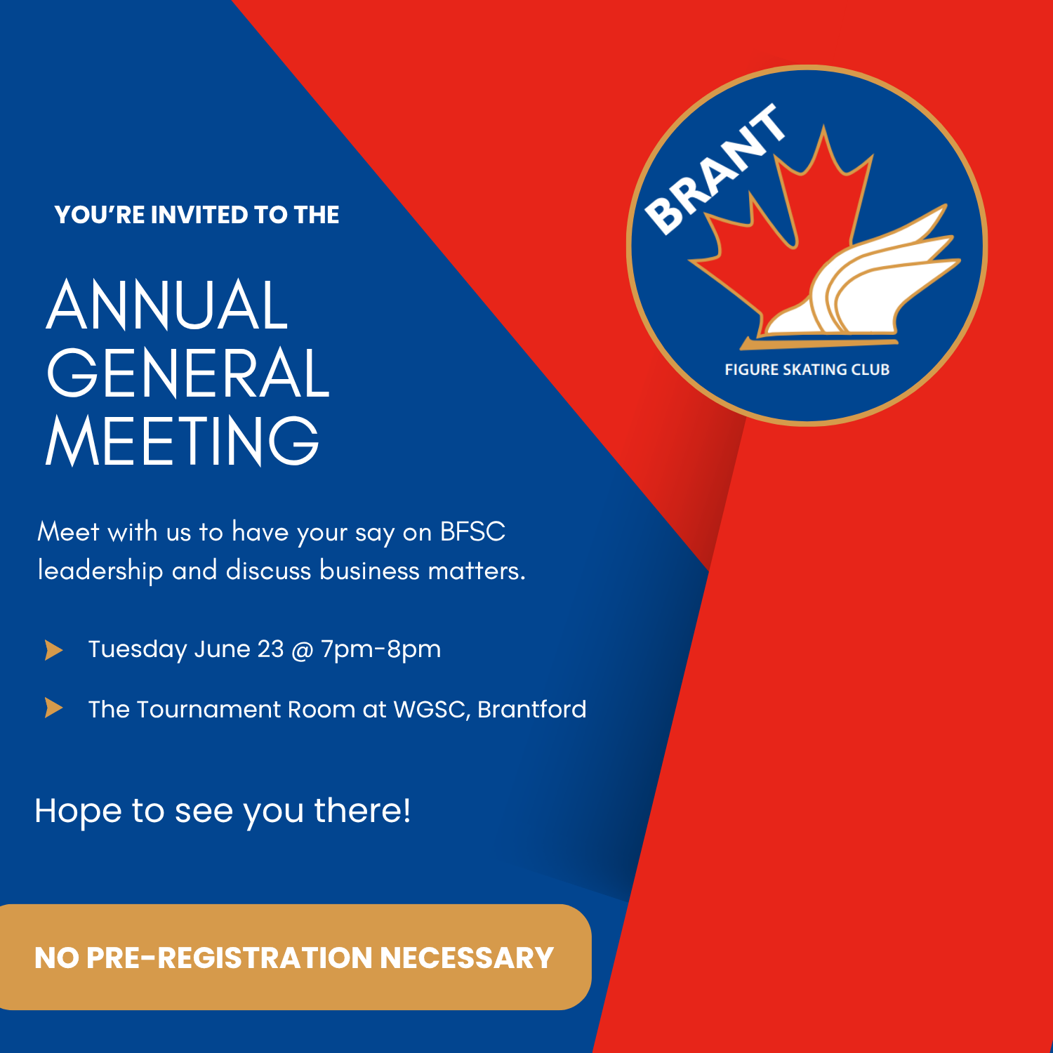 Annual General Meeting