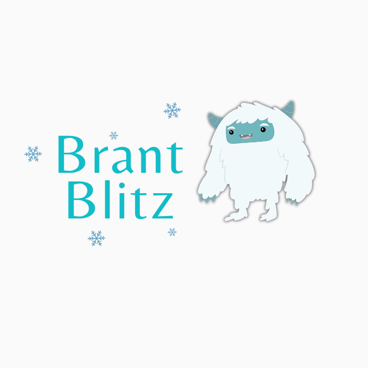 Brant Blitz Star 1-4 Competition
