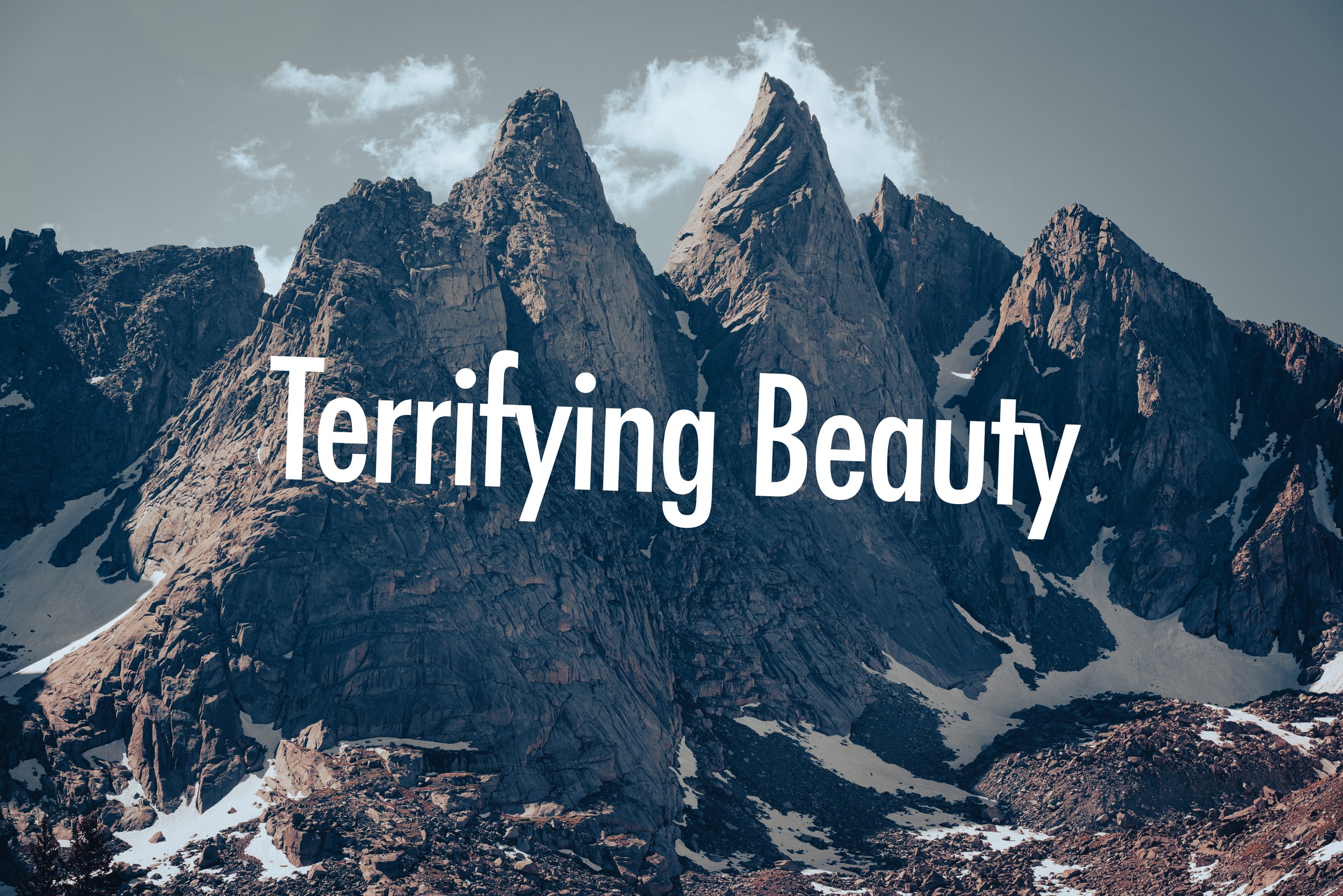 Terrifying Beauty