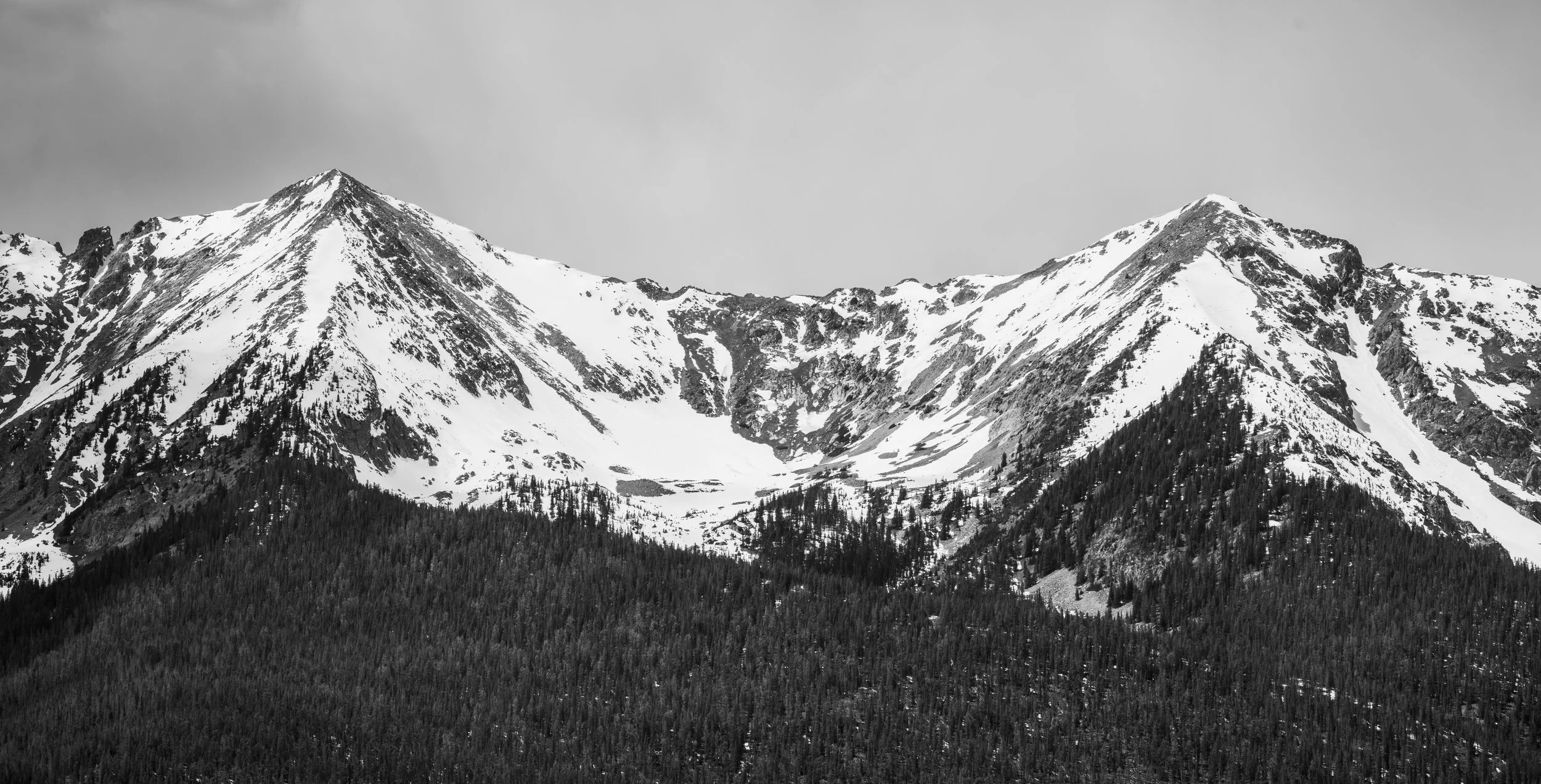 _CM11801.jpg