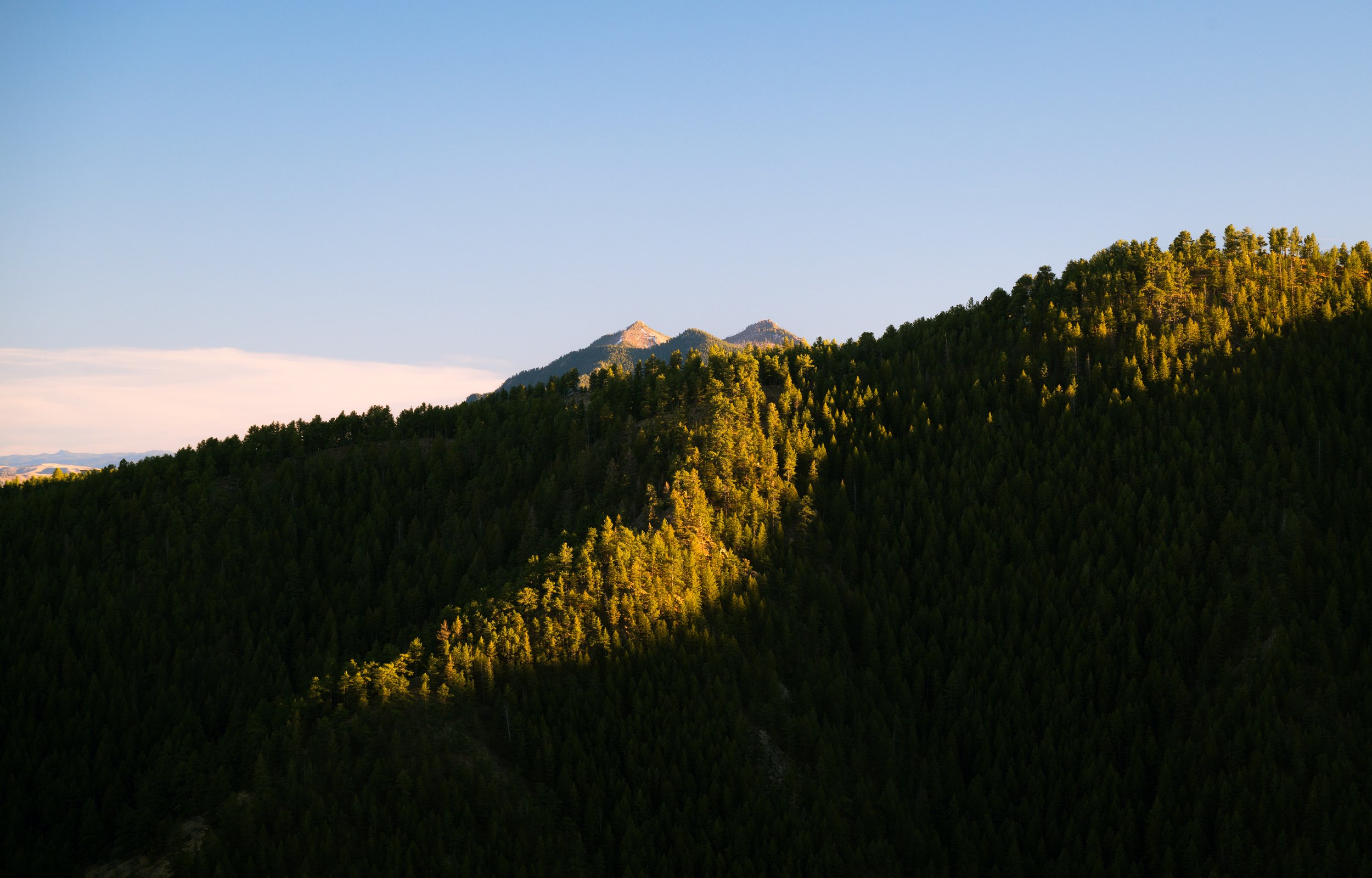 Bear and South Boulder Peaks peeping Over Lefthand Canyon's Ridgeline