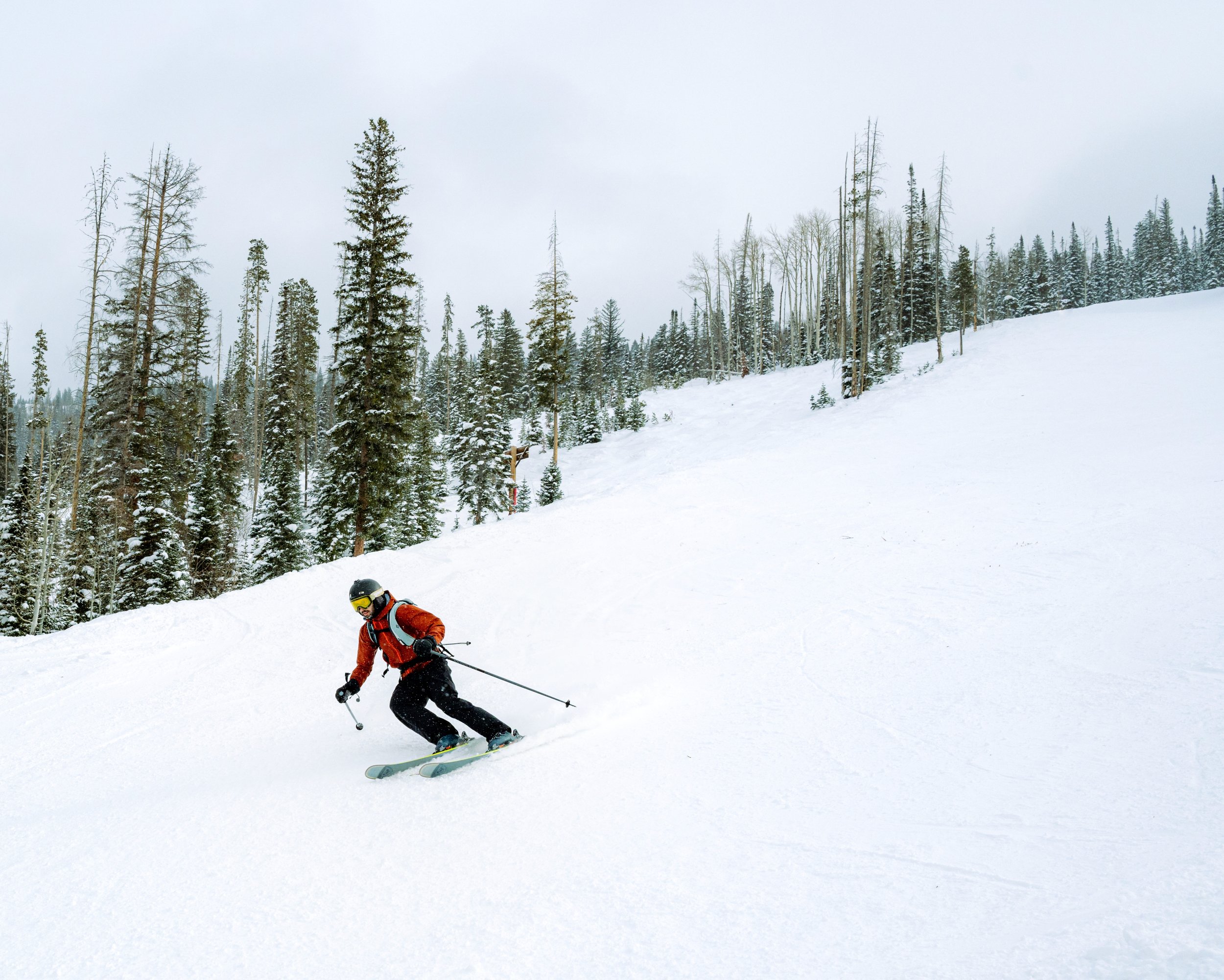 _DSC9217-3.jpeg