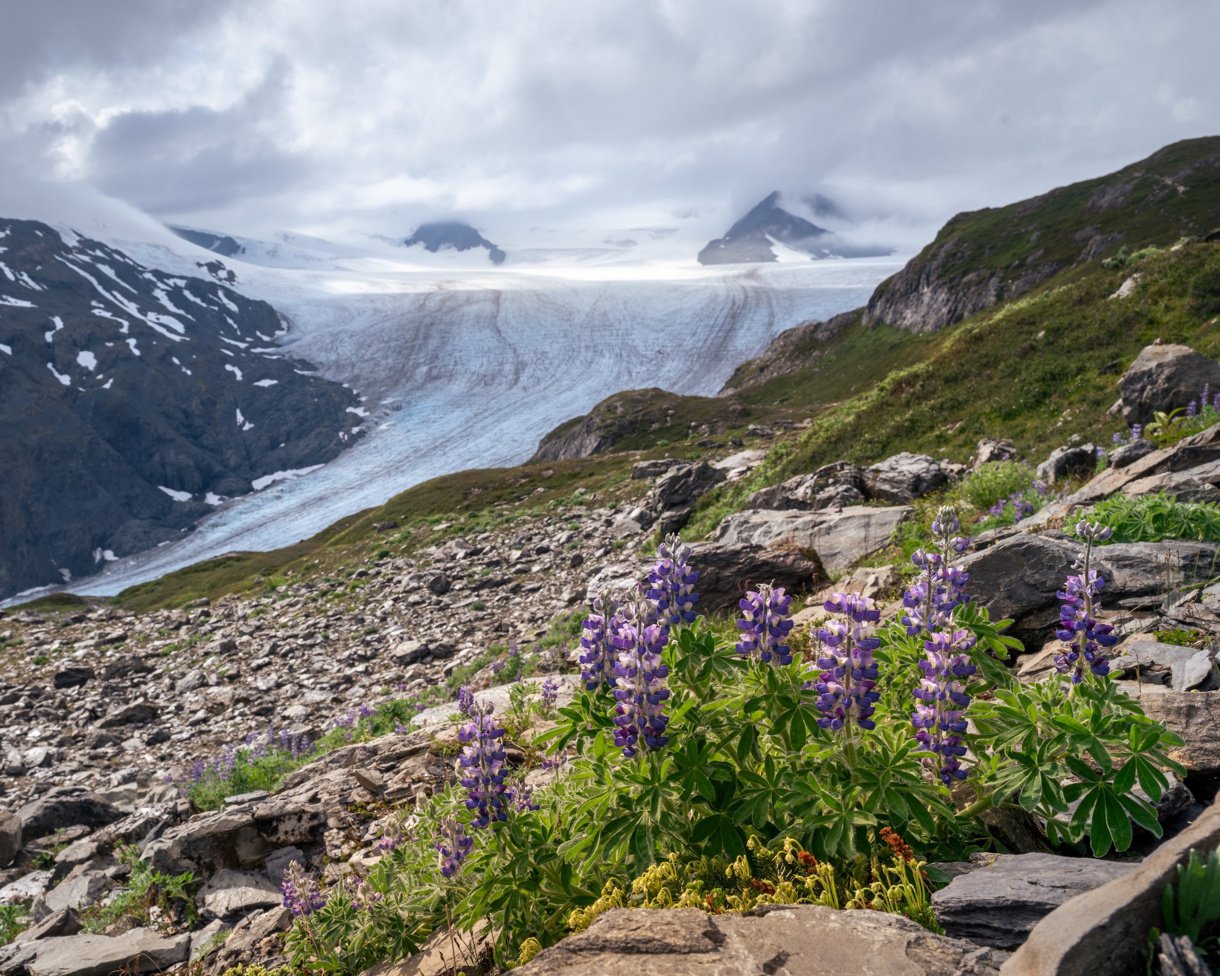 _DSC9662.jpg