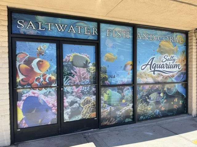Salty storefront.jpeg