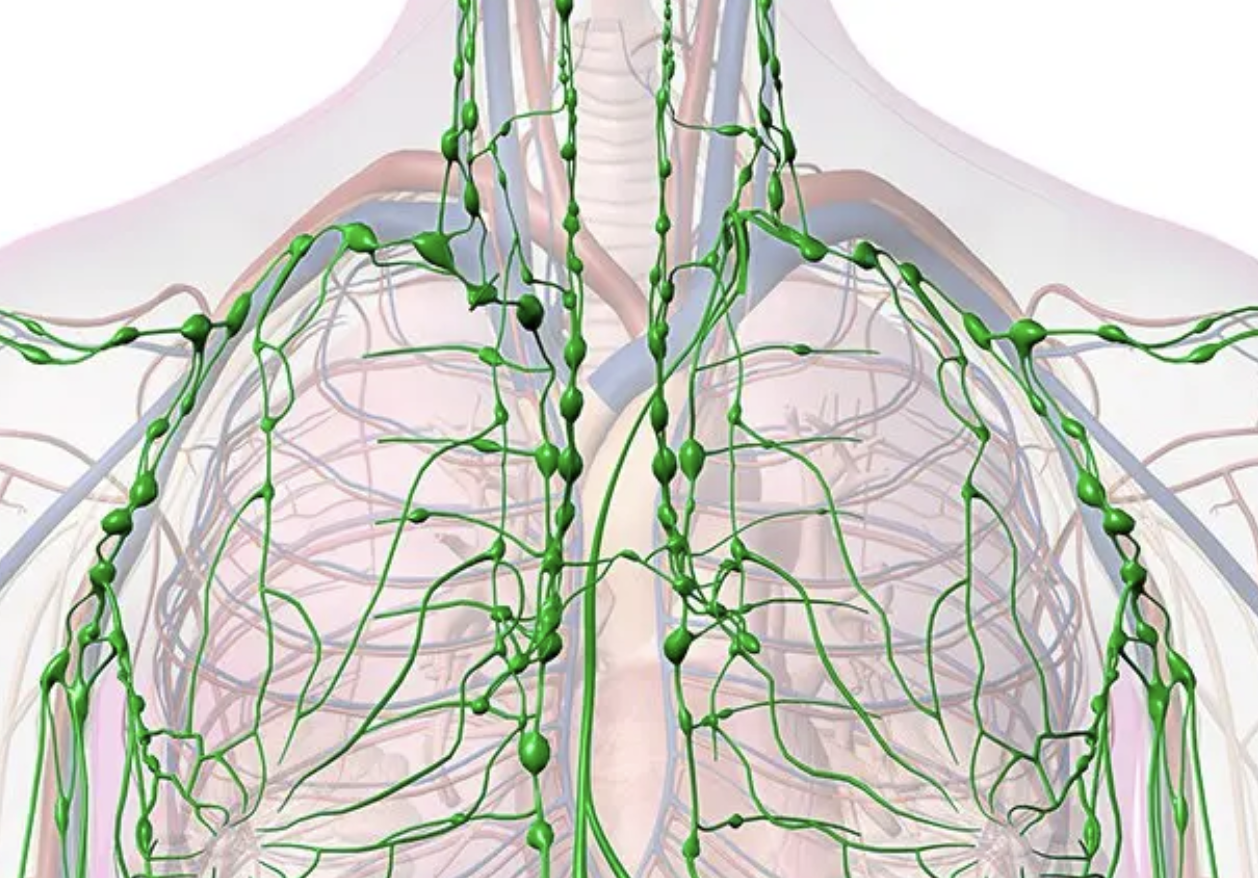 Why Am I So Puffy? Common Causes of Swelling and Fluid Retention
