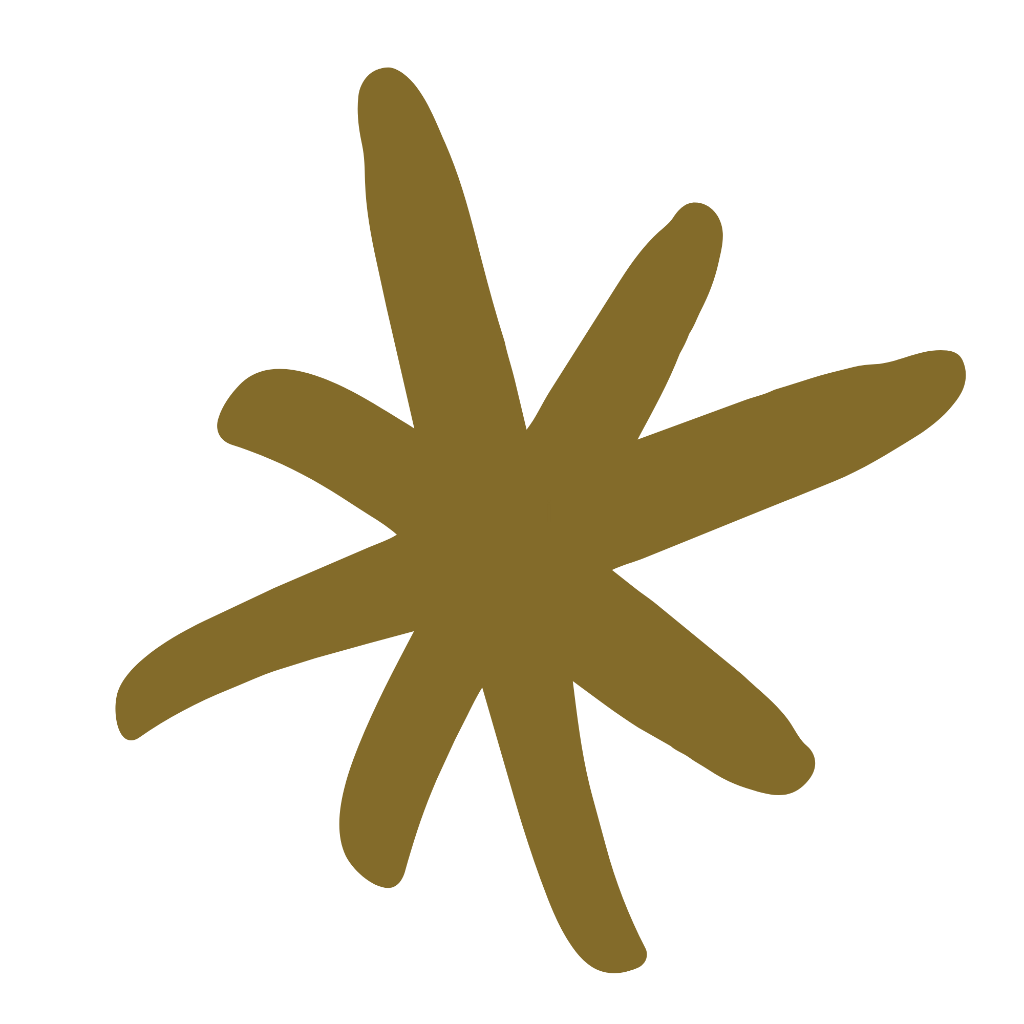 Brown star-shaped object with uneven, rounded points, on a black background.