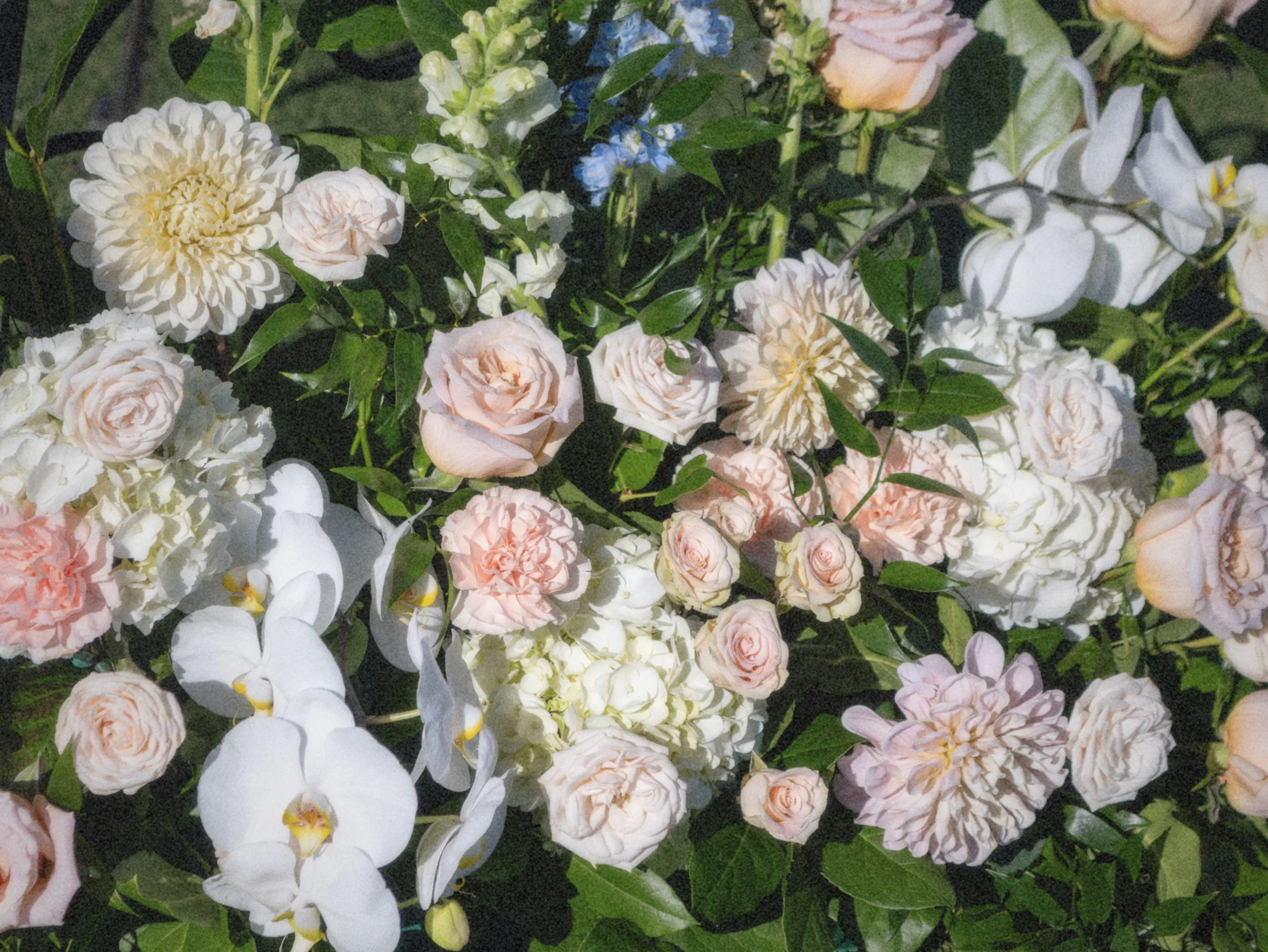WHAT IS THE AVERAGE COST OF A US WEDDING IN 2025?