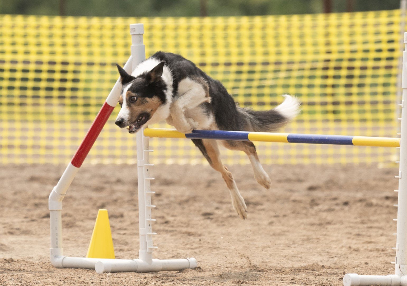 Agility Challenges