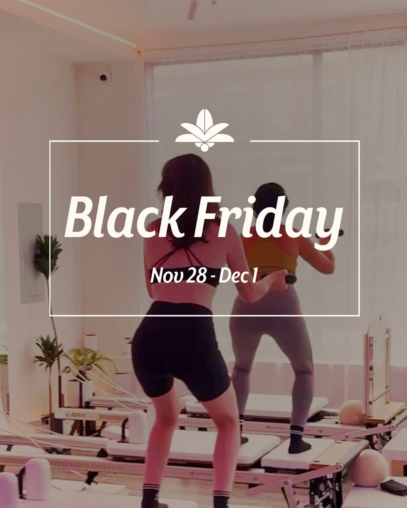 Our Black Friday deals will be announced on Monday. Make sure to sign up for our newsletter and check back here for the details 😎

#pilates #palmapilatesbk #pilatesstudio #pilatesblackfriday #pilatescommunity #pilatespeople #pilateslovers #reformer 