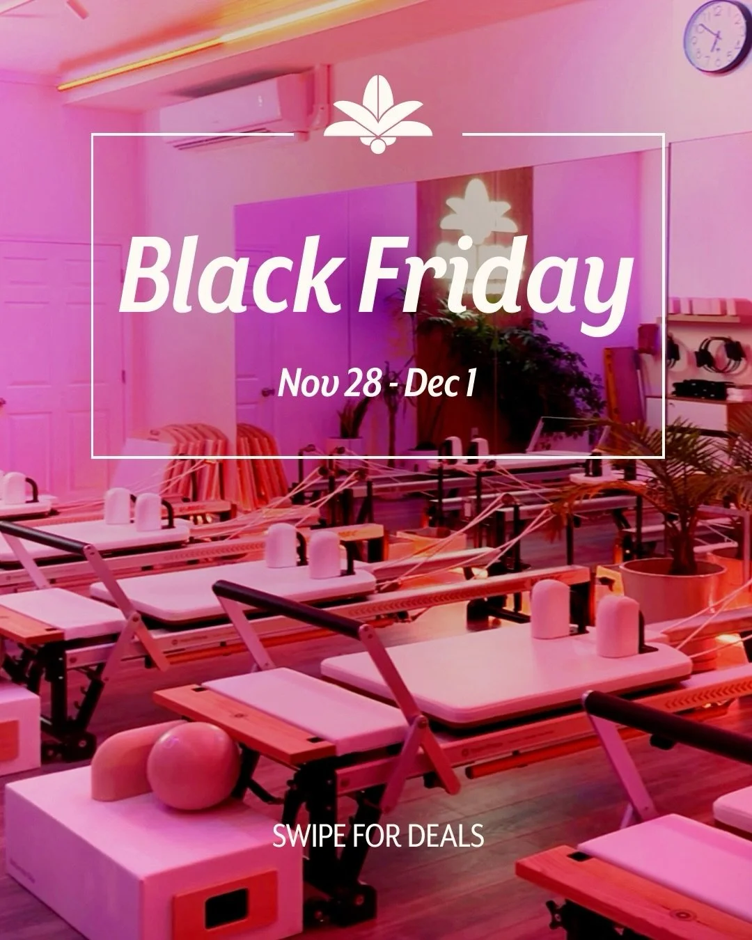 Our Black Friday deals are now live!

🌺NEW Monthly Memberships*: 8-Classes per month &amp; Unlimited monthly - use code HOLIDAY2025 at checkout for 15% off this weekend only

🎁Gift Card Savings: Now through the end of the year, use code GIVEPALMA20