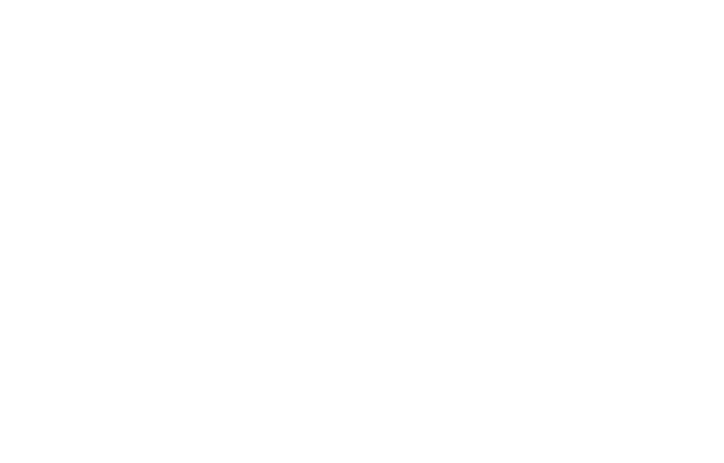 Asset 5.png