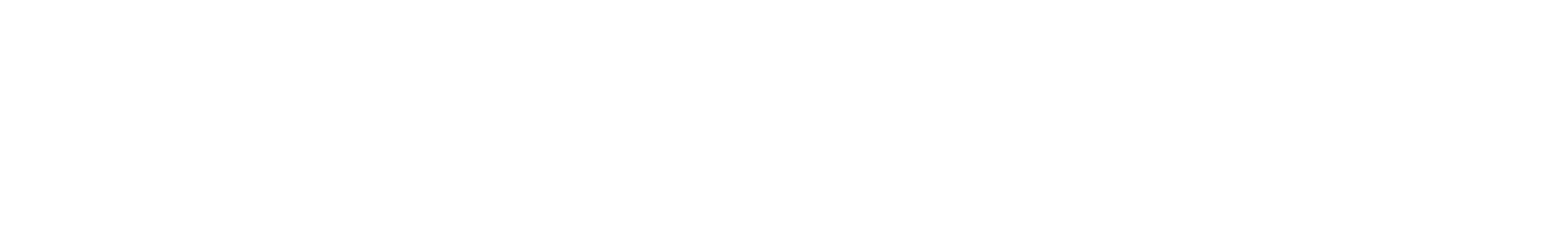 Asset 1.png